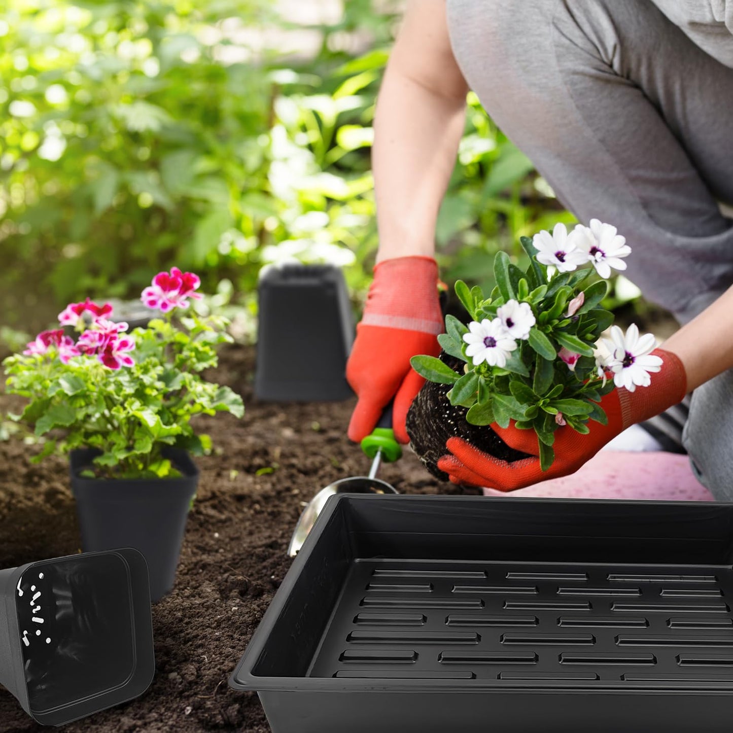 RooTrimmer 4 inch (10CM) Square Nursery Pots 60pcs, Sturdy Seedlings Trays 5 Pcs, Seeds Starter Germination Tray, Microgreening Planter Nursery Propagation 5 Sets