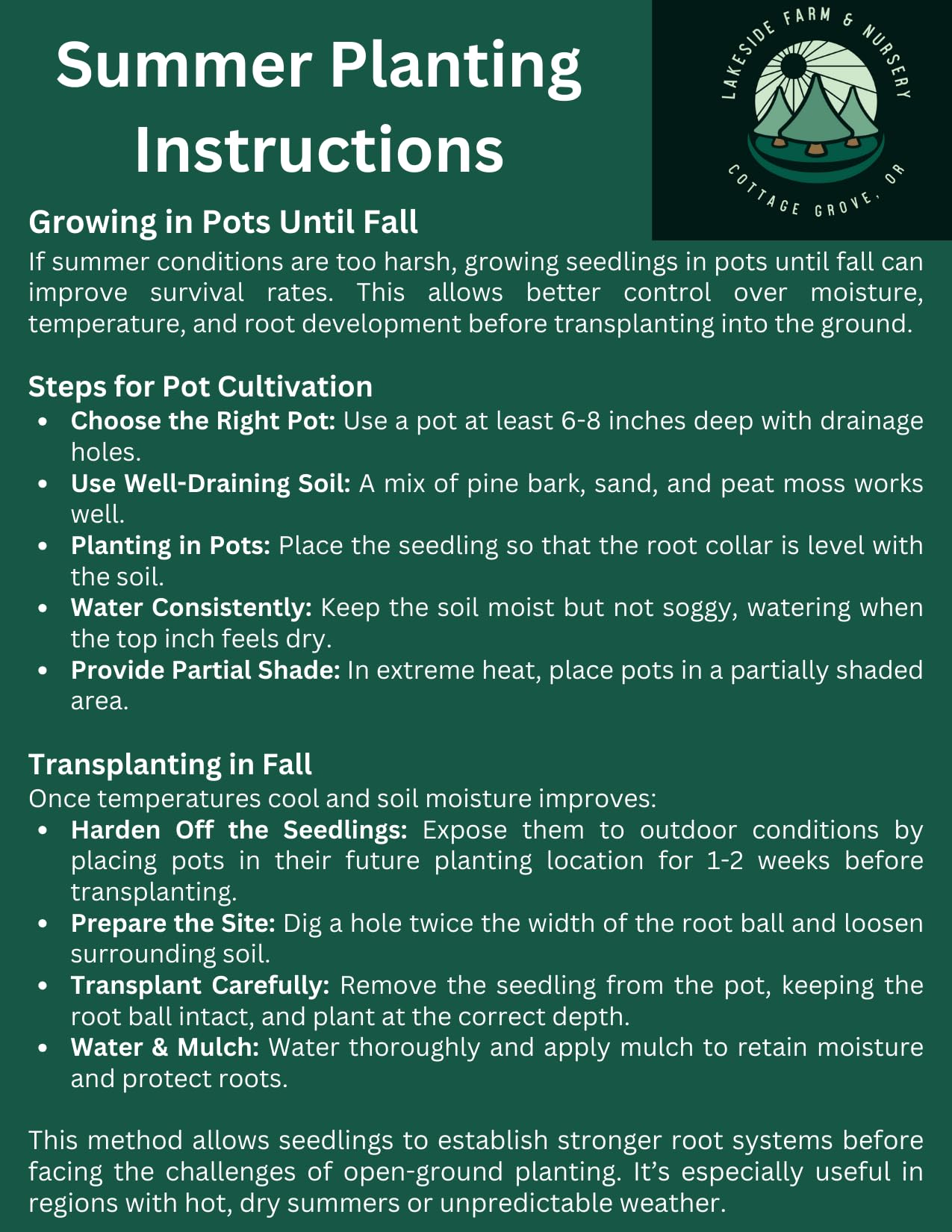 5 Live Giant Sequoia Tree Sapling (Approx. 1'-1.5' Tall)- Nature’s Giant in Your Backyard