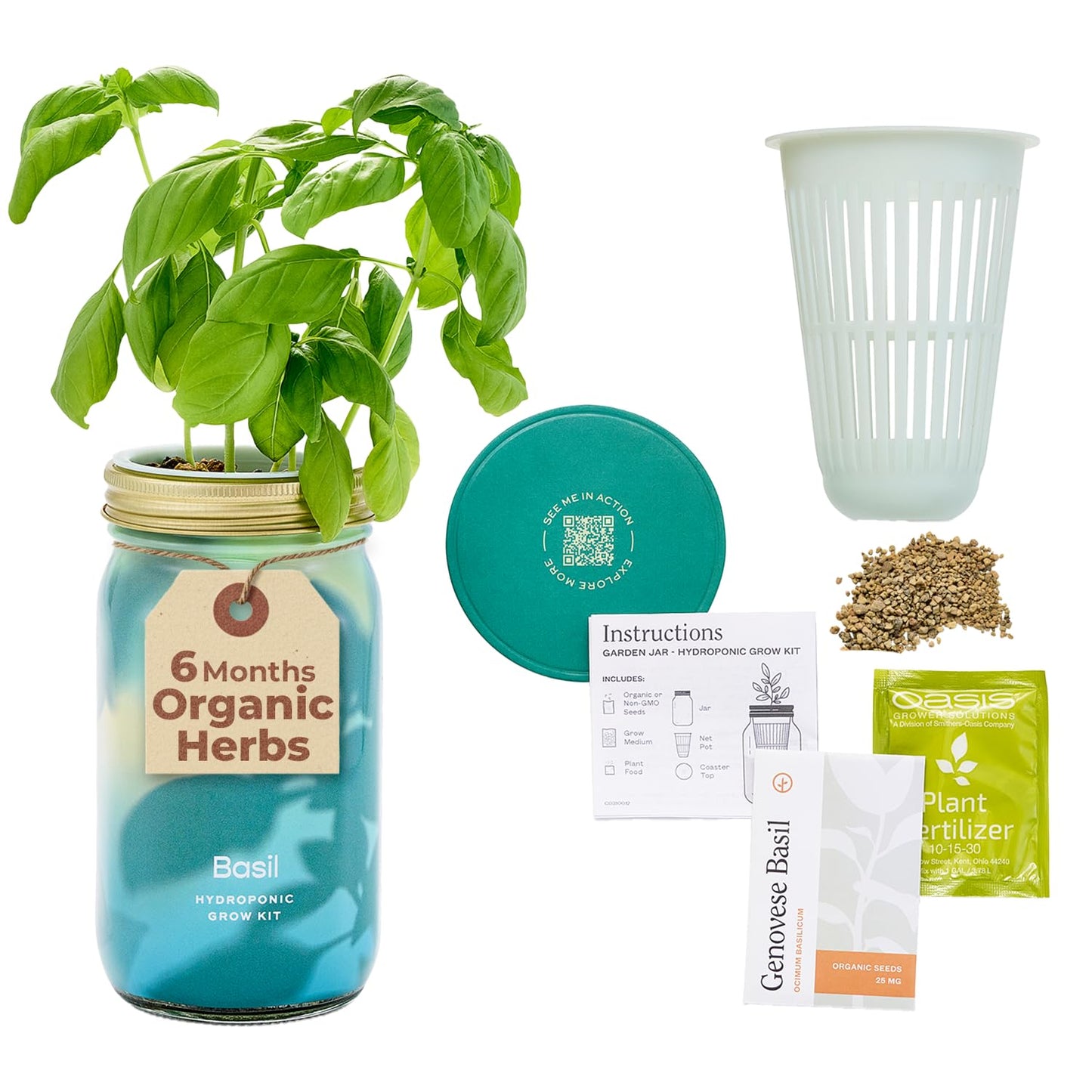 Modern Sprout Mason Garden Jar - Self-Watering Hydroponics Growing System Kit with Organic Herb Seeds - Jar Planter for Indoor Herb Garden - Seed Starter Kit - Home Decor & Gifting - Basil