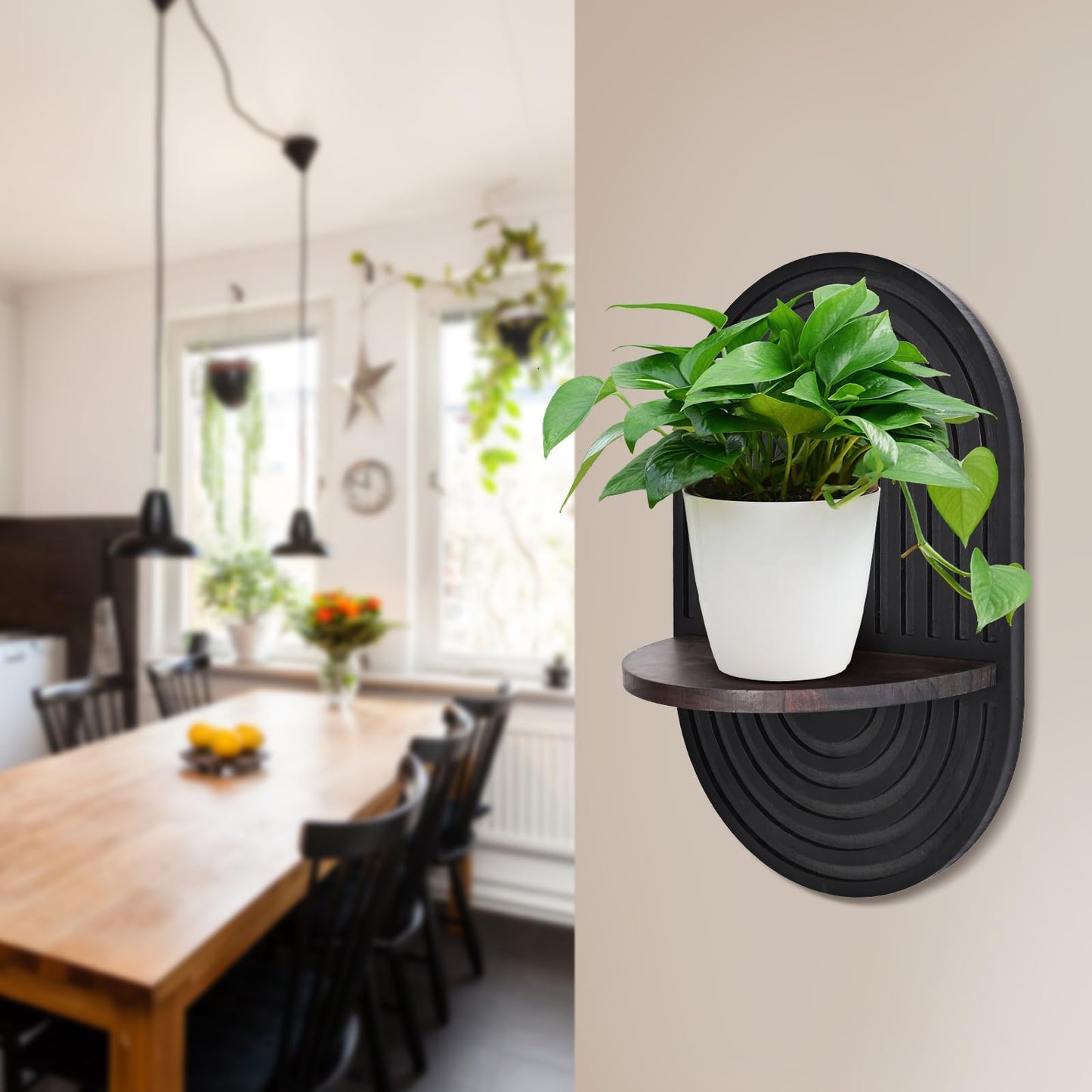 ZELURA 2 Pieces Boho Wall Shelf, Mid Century Shelves, Decorative Storage Unit, Black Plant Shelves, Wall Plant Holder,Floating Shelves
