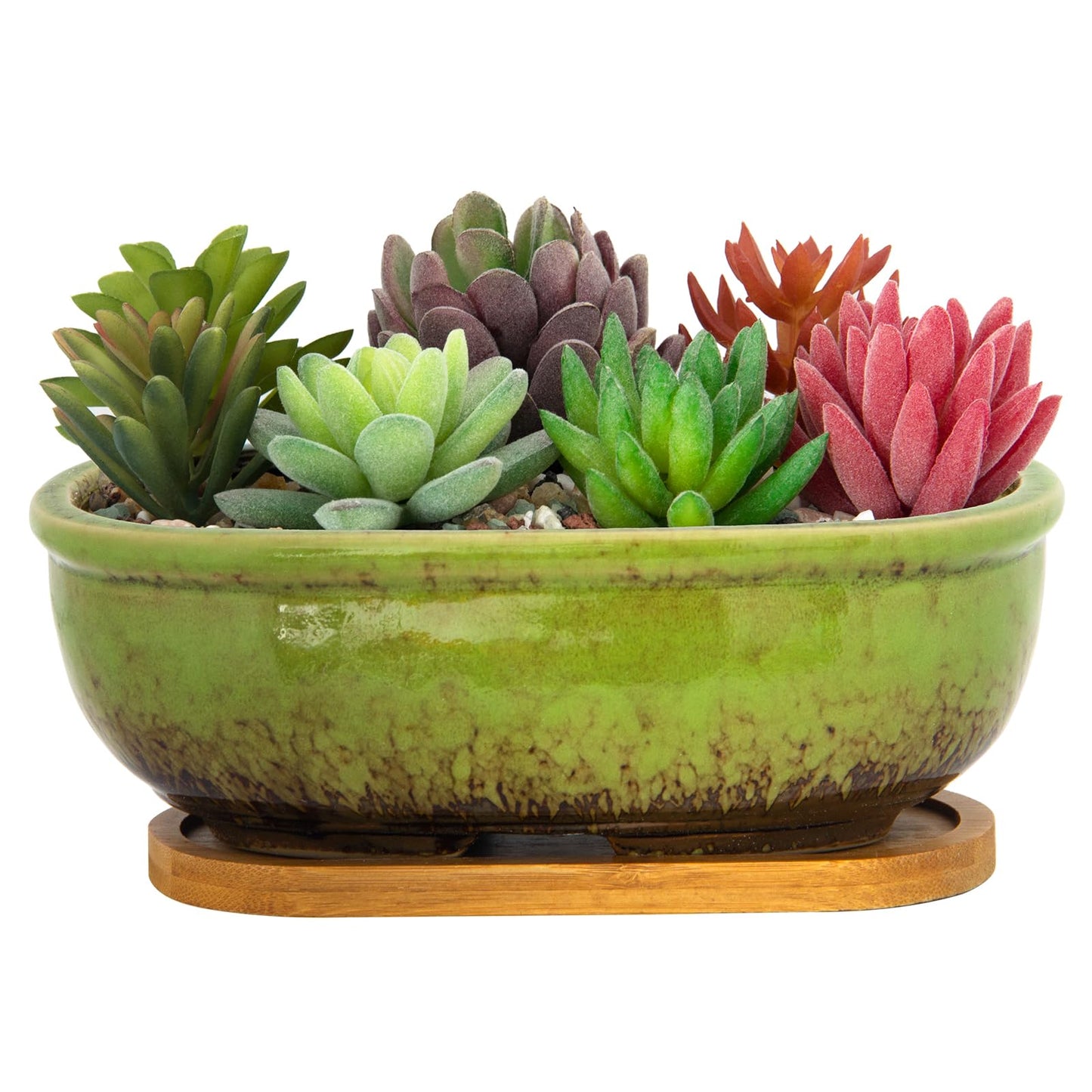 ARTKETTY Succulent Pots - Large Succulent Planters with Drainage Tray, 7.9'' Ceramic Pots for Indoor Cactus Plants, Oval Bonsai Flower Plant Container Bowl Decorative Home Desk Windowsill