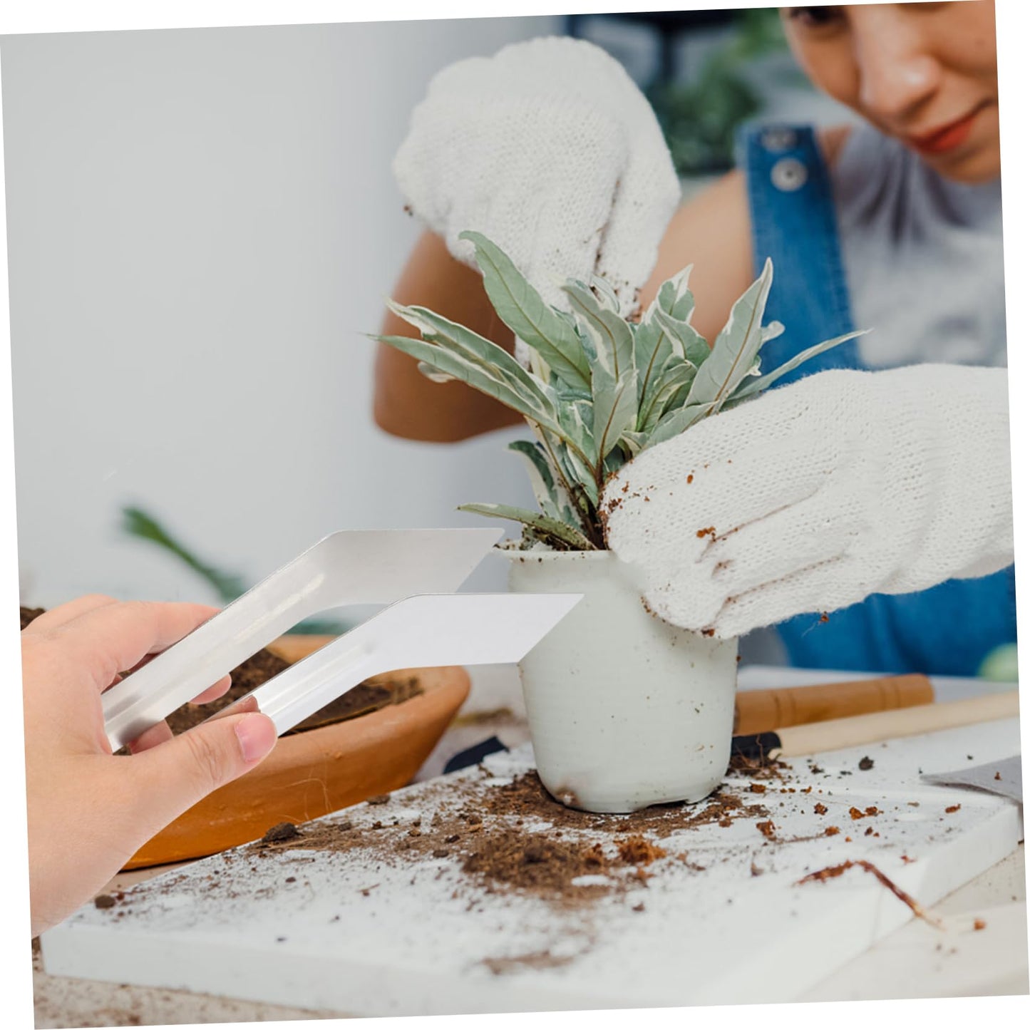 IWOWHERO Multi-use Plants Supplies for Plants Remove Transplant Portable Small Tongs