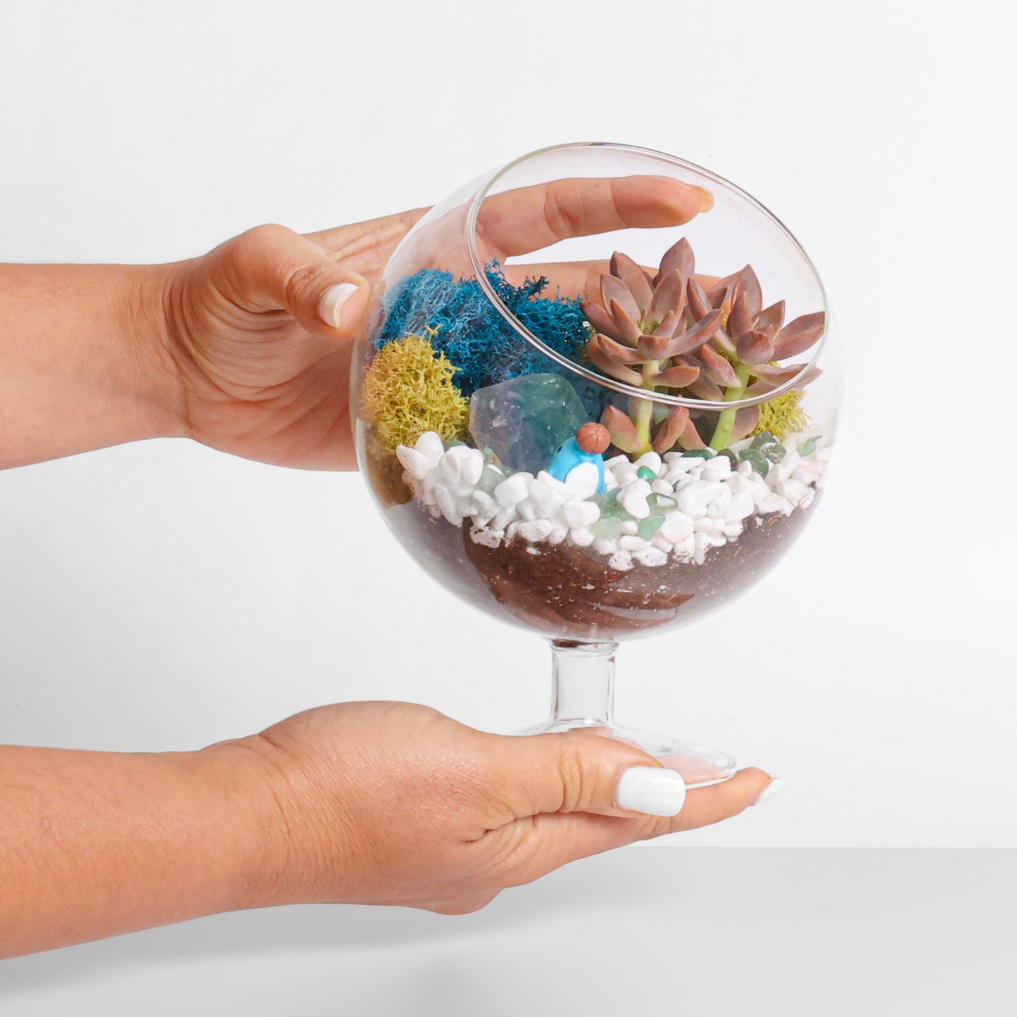 Creations by Nathalie DIY 6" DIY Chalice Terrarium Kit - Build Your Own Glass Terrarium for Adults & Teens with Moss, Crystals, Tools & Decorative Figurine - Mini Ecosystem (Plant Not Included)