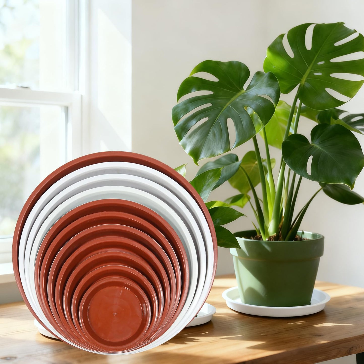 JAKOUE 4 Size Round Plant Saucer,8 Pack Pant Pot Trays, Plant Saucers for Indoors and Outdoors, Seed Starting Tray, Growing Trays,White（4",5",6",8"）