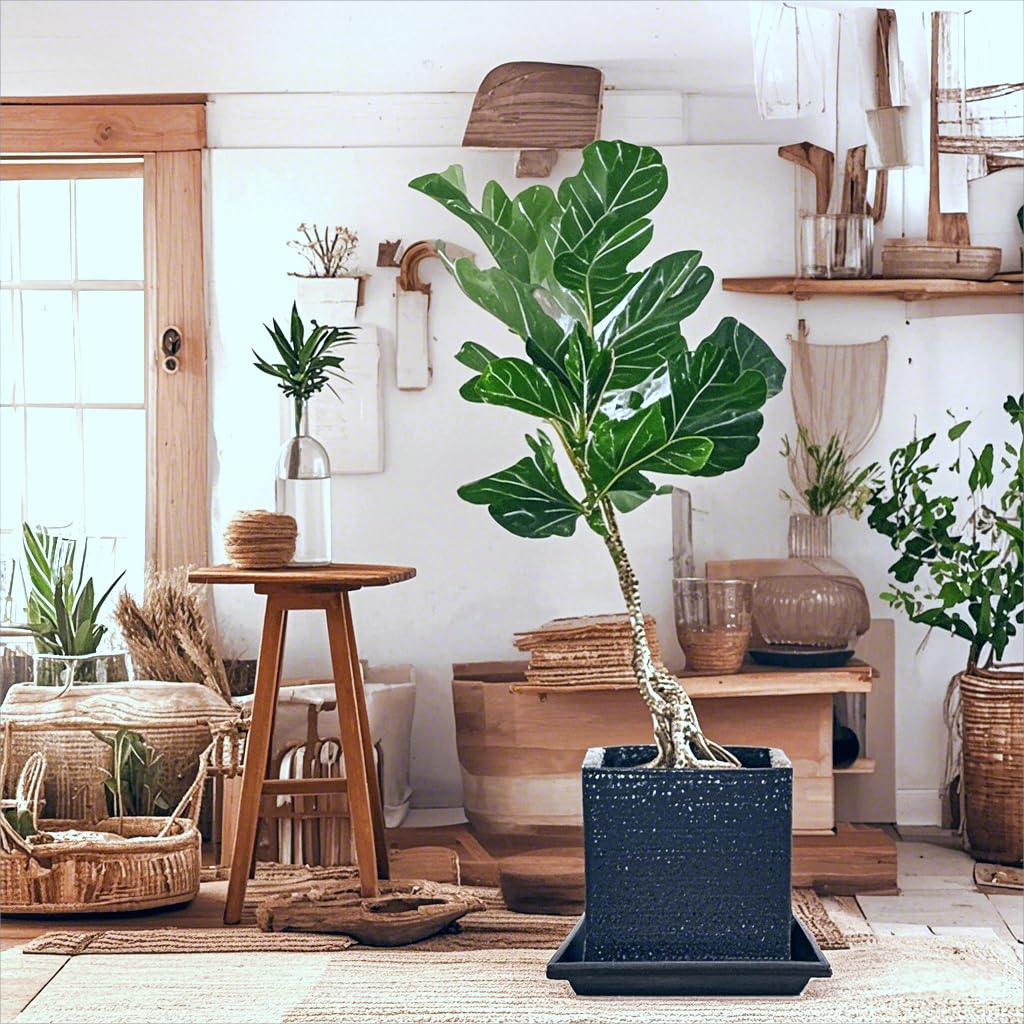 Tectsia Square Plant Saucer 8 Inch 5 Pack, Planter Trays for Flower Pots, Plant Water Catcher Drip Dishes, Plastic Bottom Watering Plates Indoors and Outdoors - Black