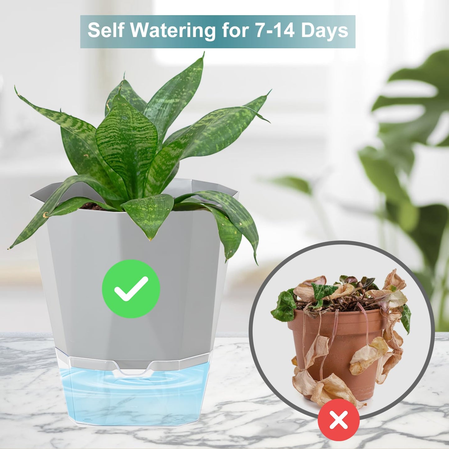Samhe 3 Pack Self Watering Flower Pots 6.5 Inch, Plant Pots for Indoor Outdoor, Self Watering Planters with Wick Rope and Clear Reservoir
