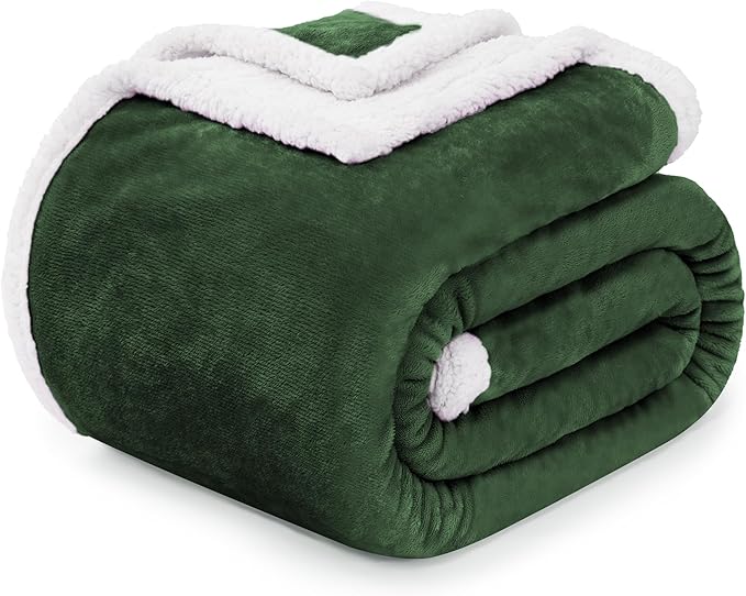 BEAUTEX Sherpa Fleece Throw Blankets, Soft Fluffy Flannel Plush Blanket and Throw, Fuzzy Cozy Green Cuddle Blankets for Couch Bed Sofa Adults (50" x 60", SageGreen)