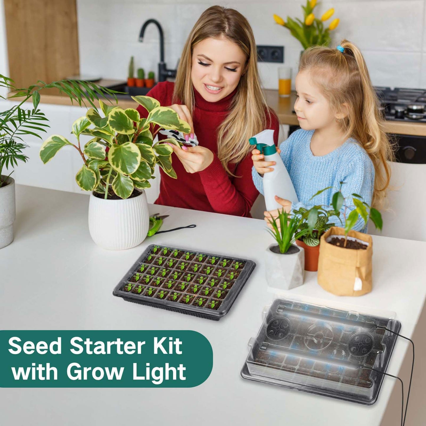 SZSJA Seed Starter Tray with Grow Light, 2 Packs 80 Cells Seed Starting Kit, Reusable Seedling Starter Trays with Humidity Dome, Plant Germination Trays for Indoor Seed Starter Kit, Black
