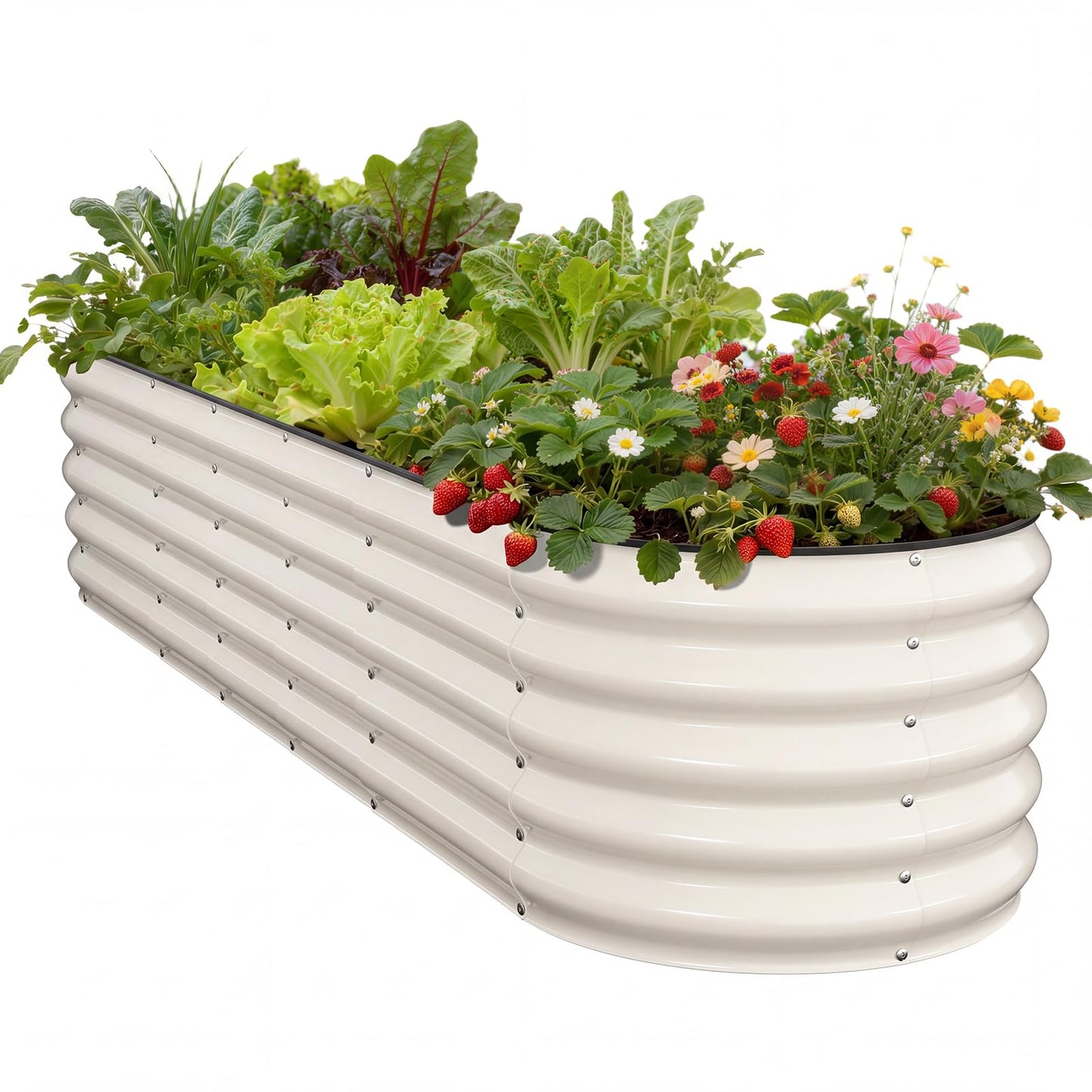 Pattiumo Galvanized Raised Garden Bed 8×2×1.5 FT, Round Metal Raised Garden Bed Outdoor Planter Box with Open Bottom, Rust-Resistant Steel Garden Bed for Vegetables Herbs Flowers, Easy Assembly