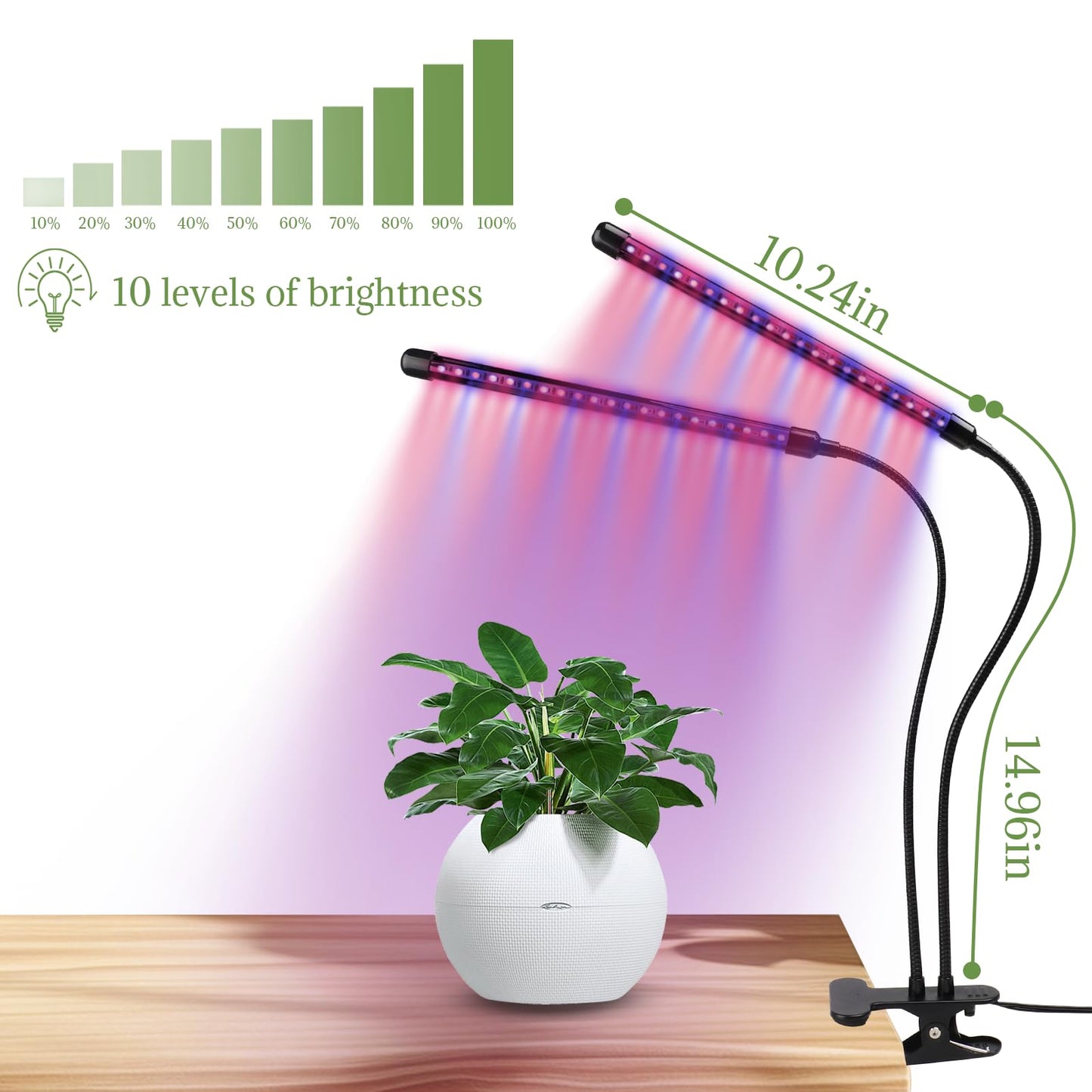 Grow Lights for Indoor Plants - Red & Blue Spectrum LED Plant Light with Auto 3/9/12H Timer, 10 Dimmable Levels & Sturdy Gooseneck - Ideal for Herbs, Succulents, Houseplants in Home/Office