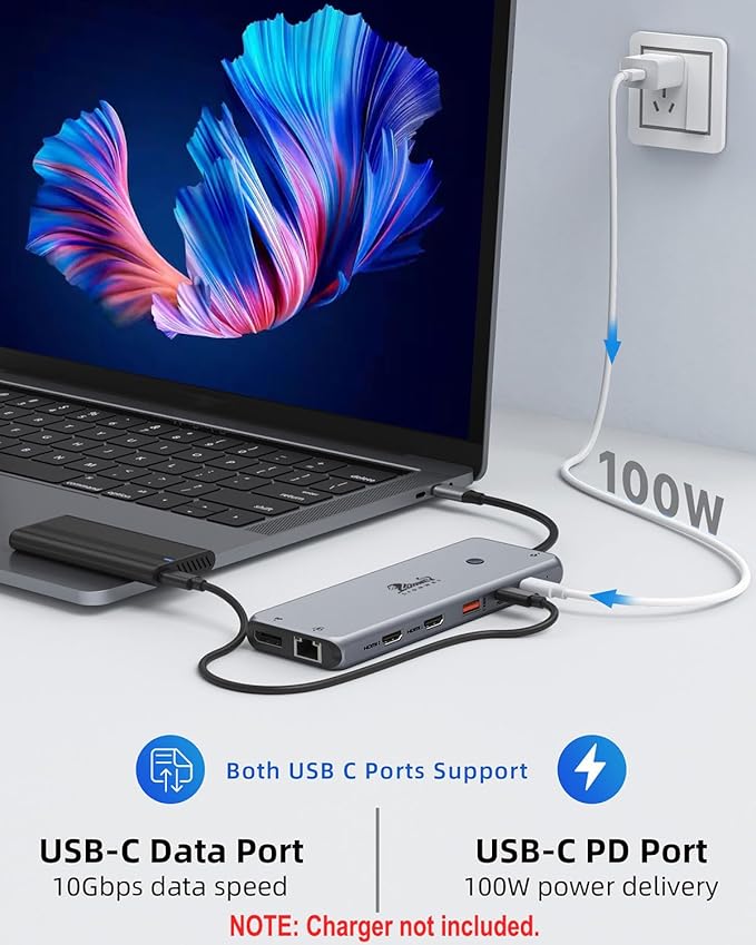 Laptop Docking Station 13 in 1, Dual Monitor Triple 4K Display, 8 USB C/A Ports, Ethernet, Audio, LIONWEI USB C Hub for MacBook,Dell,HP,Lenovo,Surface
