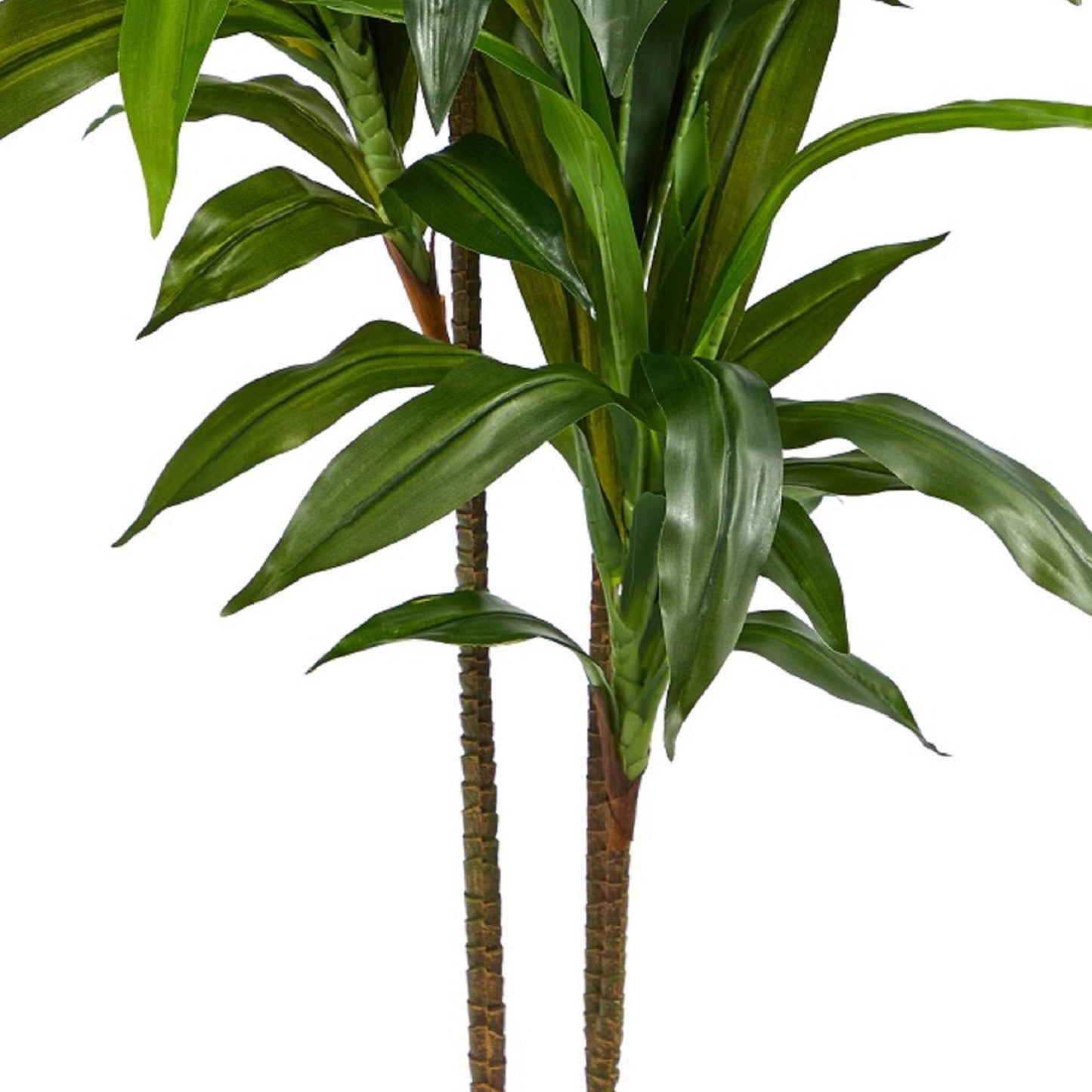 Nearly Natural 48in Artificial Dracaena with Real Touch Leaves and Multi Tonal Trunks, Large Indoor Silk Plant with Pot, Maintenance Free For Living Room And Home Office Decor
