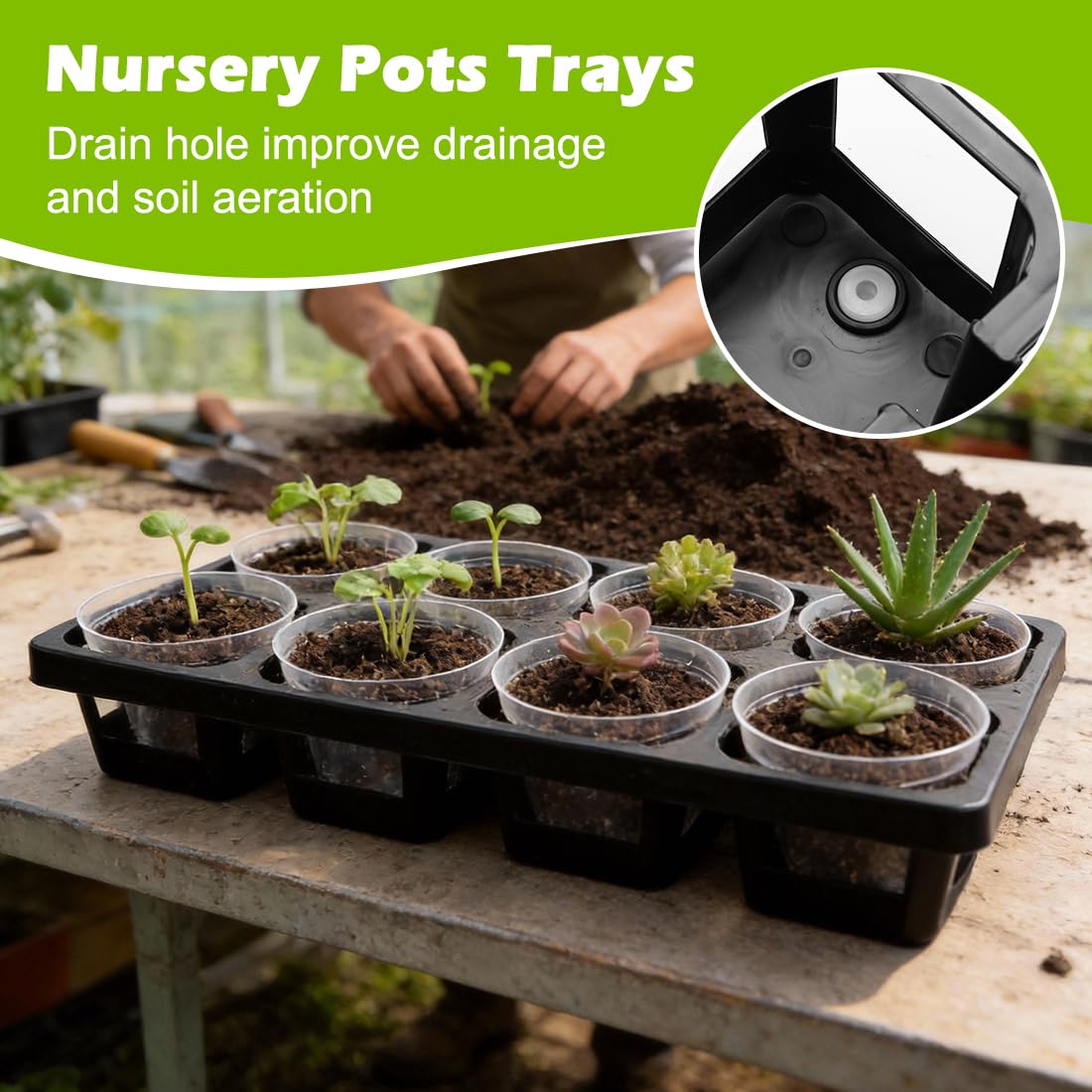 RooTrimmer 5 Pack Rectangular Window Sill Plant Pot Trays, 10 Pack 8 Cell Nursery Pot Trays with Clear Round Pots 80pcs