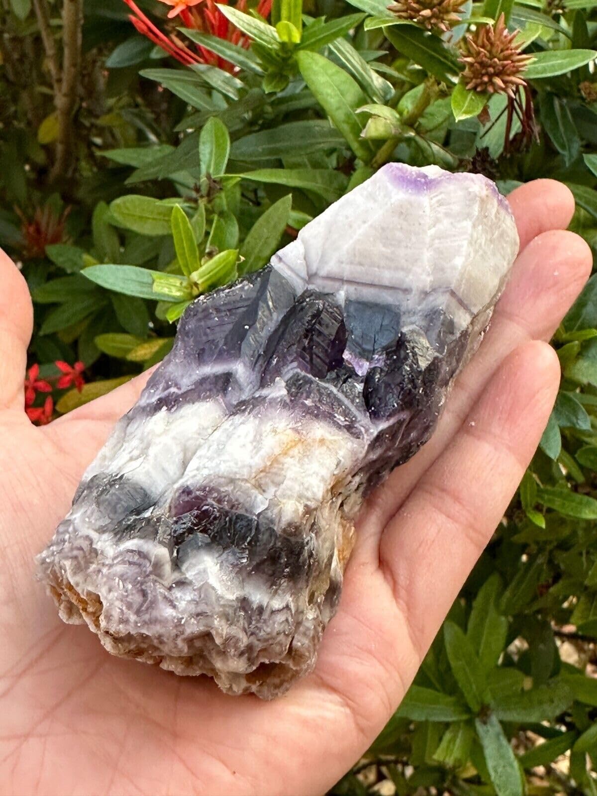 GAF TREASURES XL Raw Chevron Amethyst, 3-4" Natural Rough Chevron Amethyst, Chevron Amethyst Healing Rough Crystal (Chevron Amethyst, 0.5-1 lb)