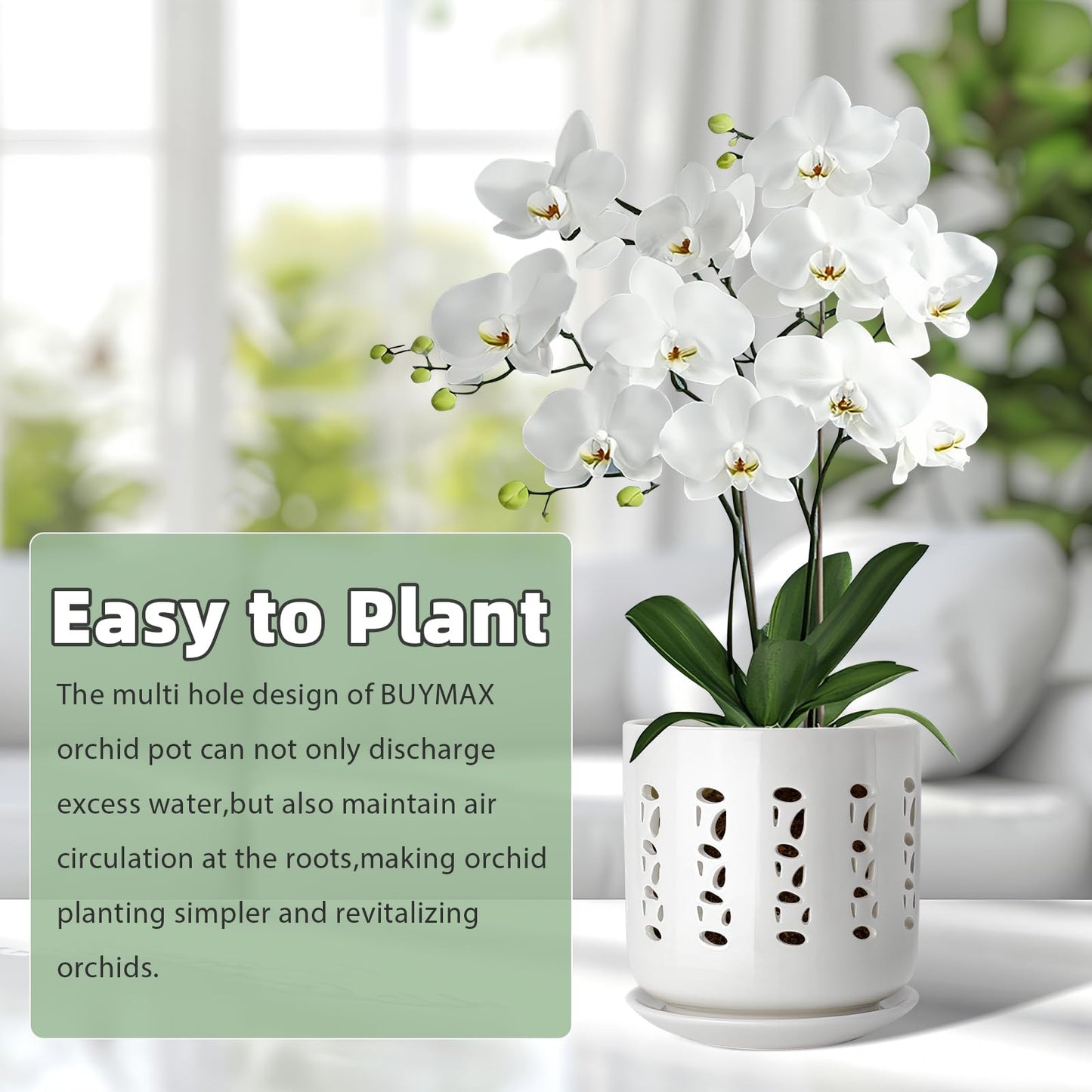 KERUITA Ceramic Orchid Pots with Holes – 5" & 6" Orchid Planter Set with Drainage and Saucers, Breathable Orchid Pots for Healthy Roots