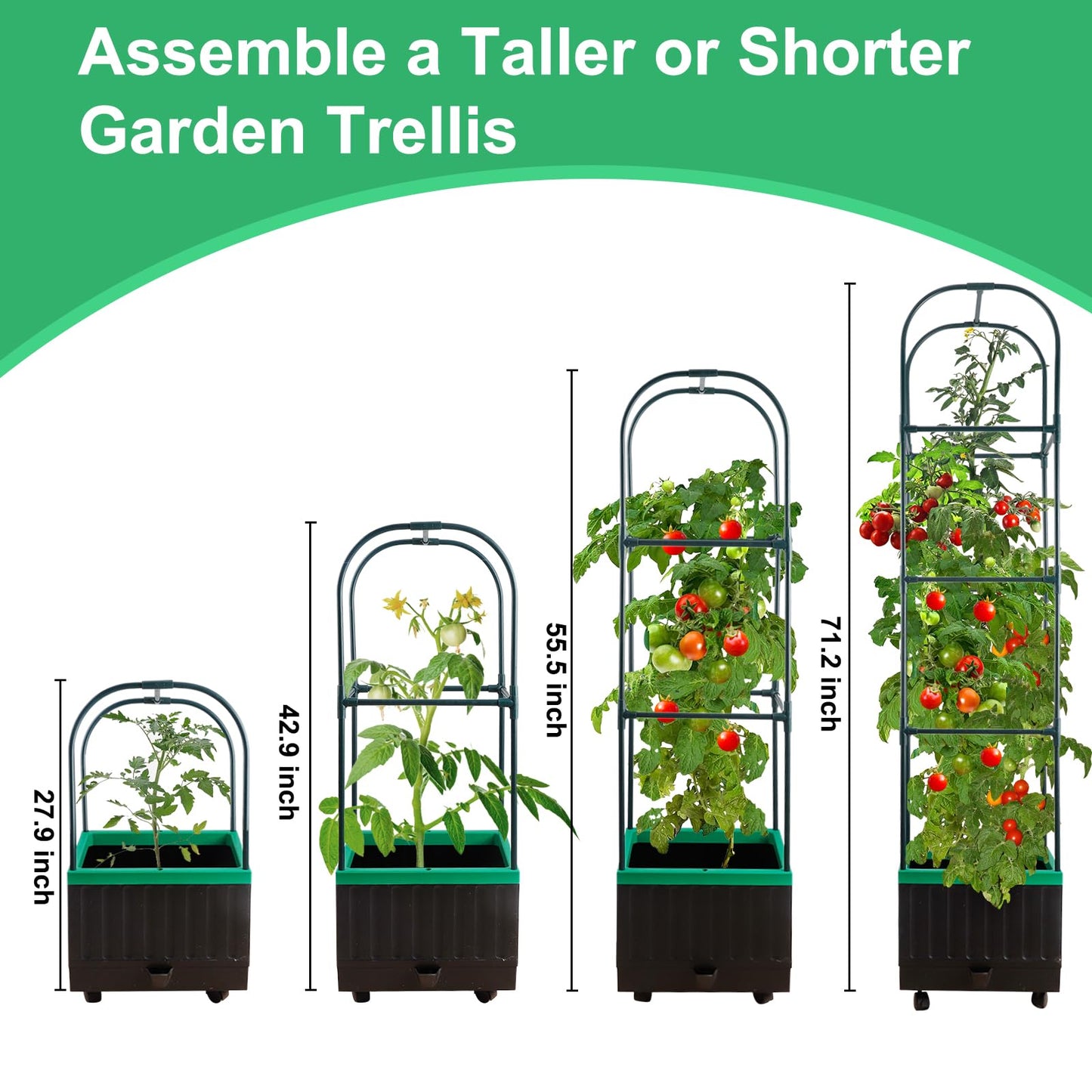 Yhtpouqe Raised Garden Bed with Self Watering Garden Pots, Planter Box with Trellis for Climbing Plants Vegetable Vine Flowers, Tomato Cage Planter for Indoor Outdoor Yard Greenhouse Use
