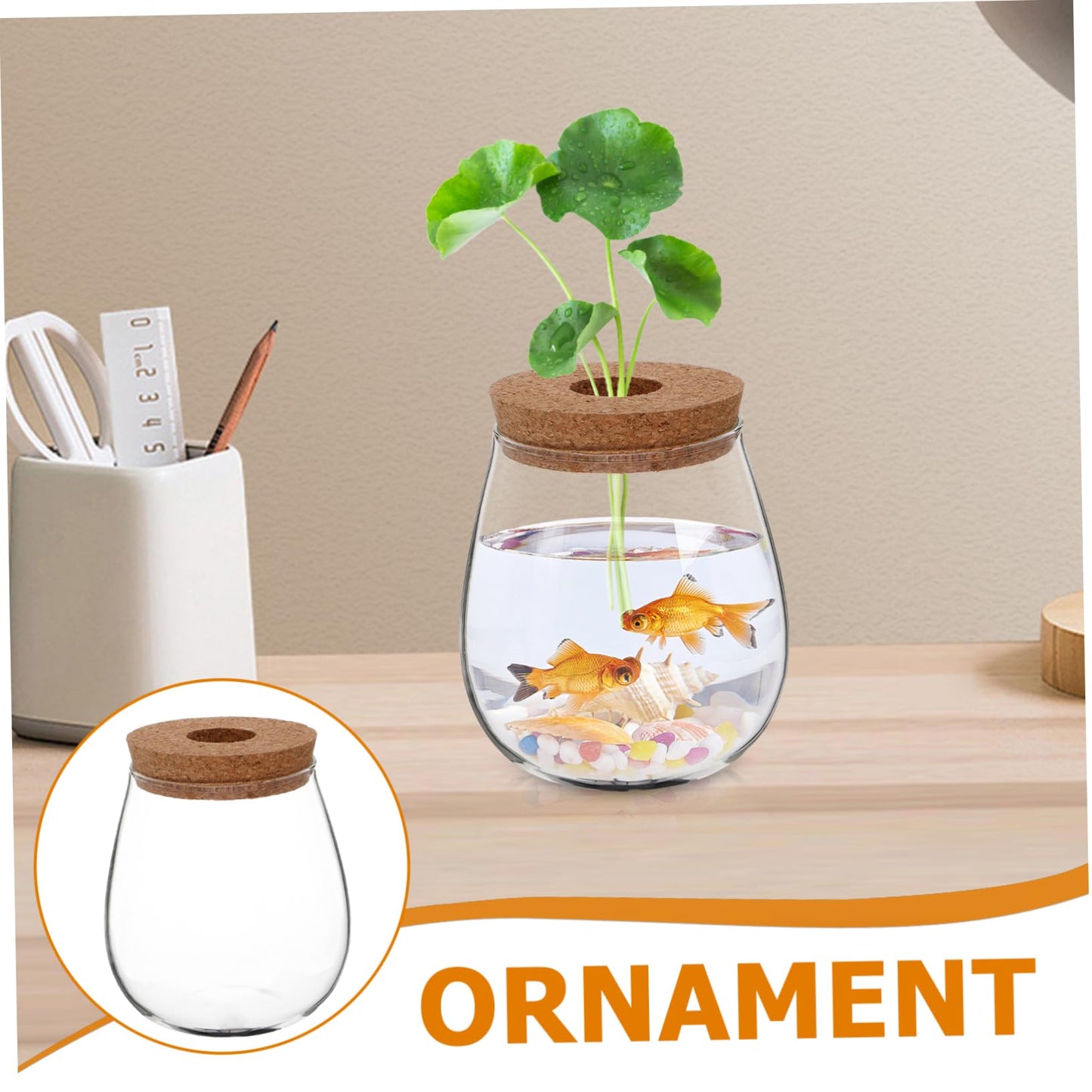 FUNOMOCYA Creative Glass Hydroponic Planter Modern Transparent Vase for Indoor Plants Elegant Desktop Propagation Terrarium Glass Aquarium for Spaces and Home Decor