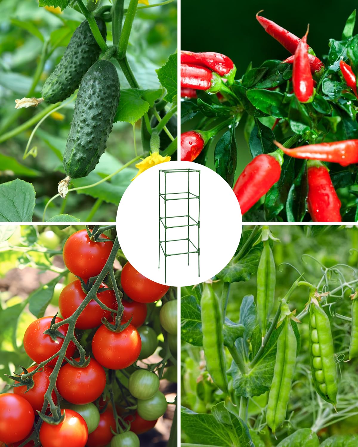 MYMULIKE 3 Pack Tomato Cages for Garden - Heavy Duty Square Tomato Plant Support Stakes, Height-Adjustable Tomato Trellis, Tomato Plant Cage for Raised Beds/Pots (Holds 50 Lbs)