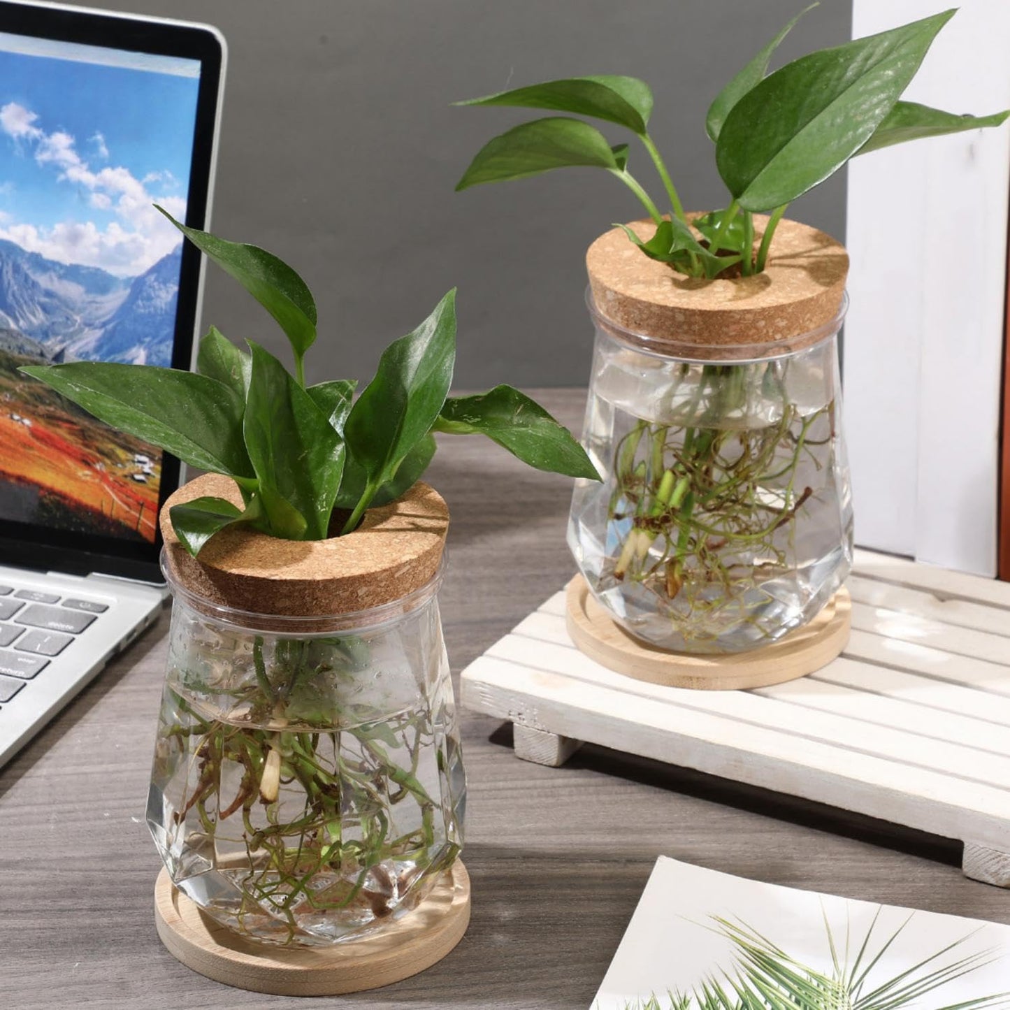 Baderke 12 Packs 4.7" Large Plastic Propagation Vases for Plants with Hole Lid and Bamboo Stand Growing in Water Hydroponic Home Office Desktop Vase Decoration
