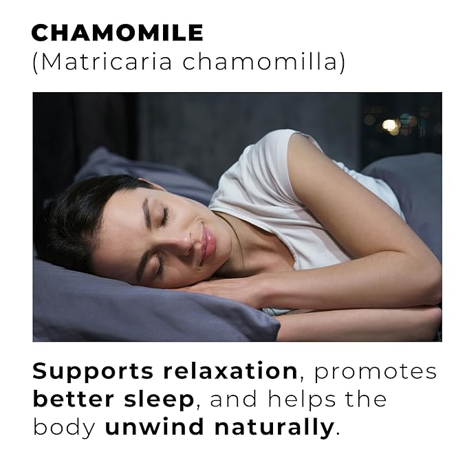 Chamomile, Loose Leaf 100 Tea Bags The Finest Blooms from Croatia