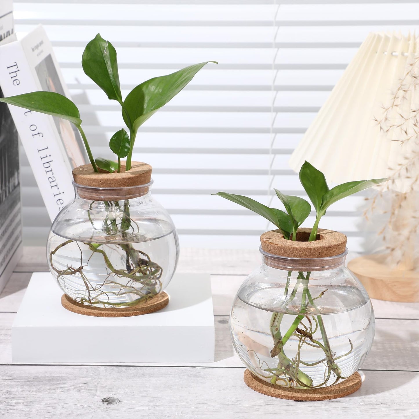Baderke 2 Packs Propagation Vases for Plants Plastic Plant Propagation Station with Hole Lid and Cork Coasters Plant Growing in Water Hydroponic Home Office Table Decoration(Fish Bowl Style)