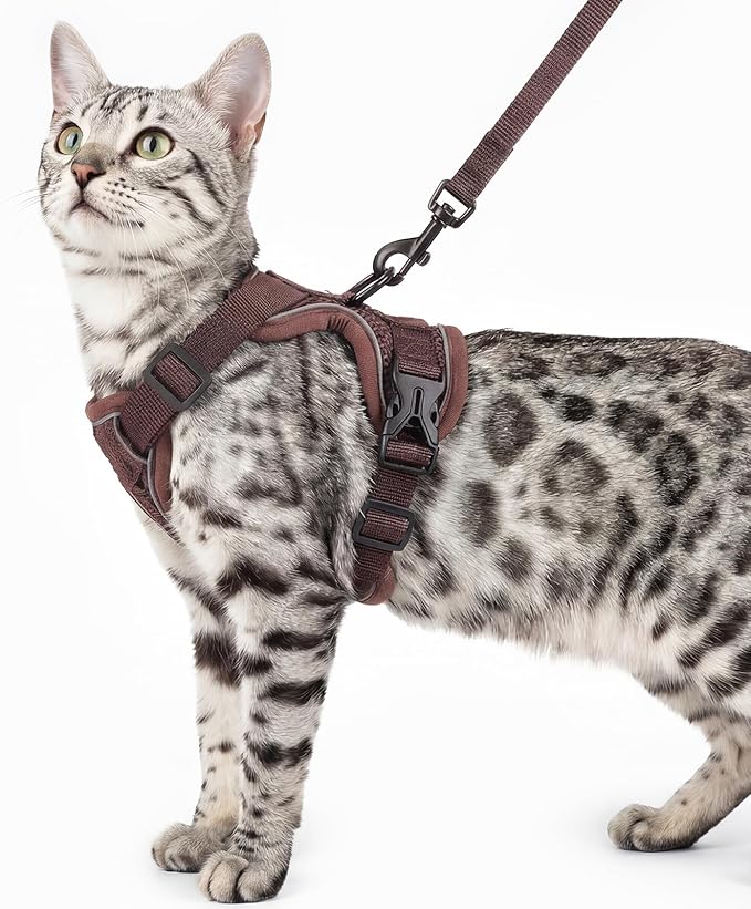 pangdi Cat Harness and Leash Set, Escape Proof Cat Vest, Pink, L
