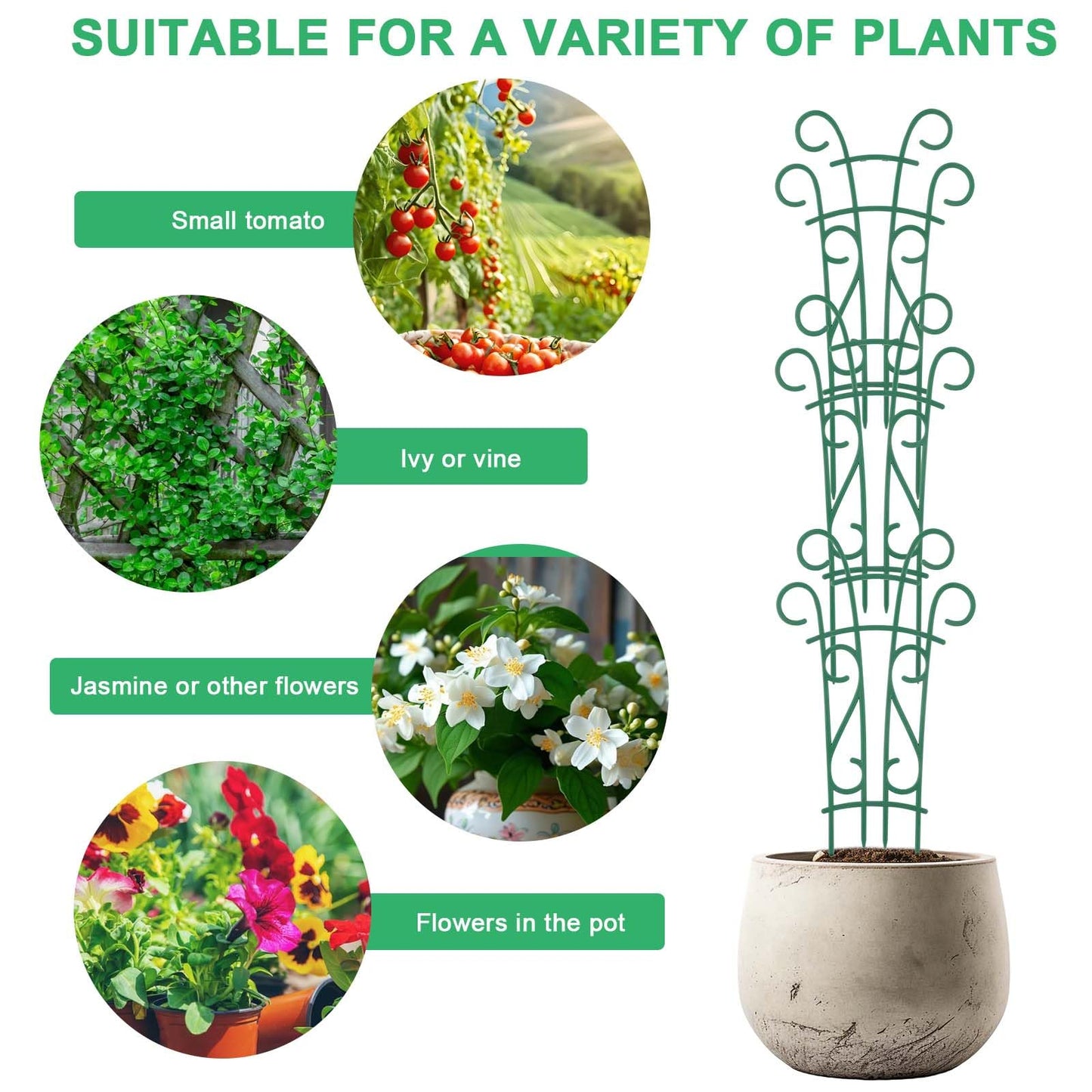 Qaobo Plant Trellis for Potted Plants 4 Pack Stackable Indoor Outdoor Climbing Houseplant Support with Garden Wire for Pothos Hoya Ivy Flower