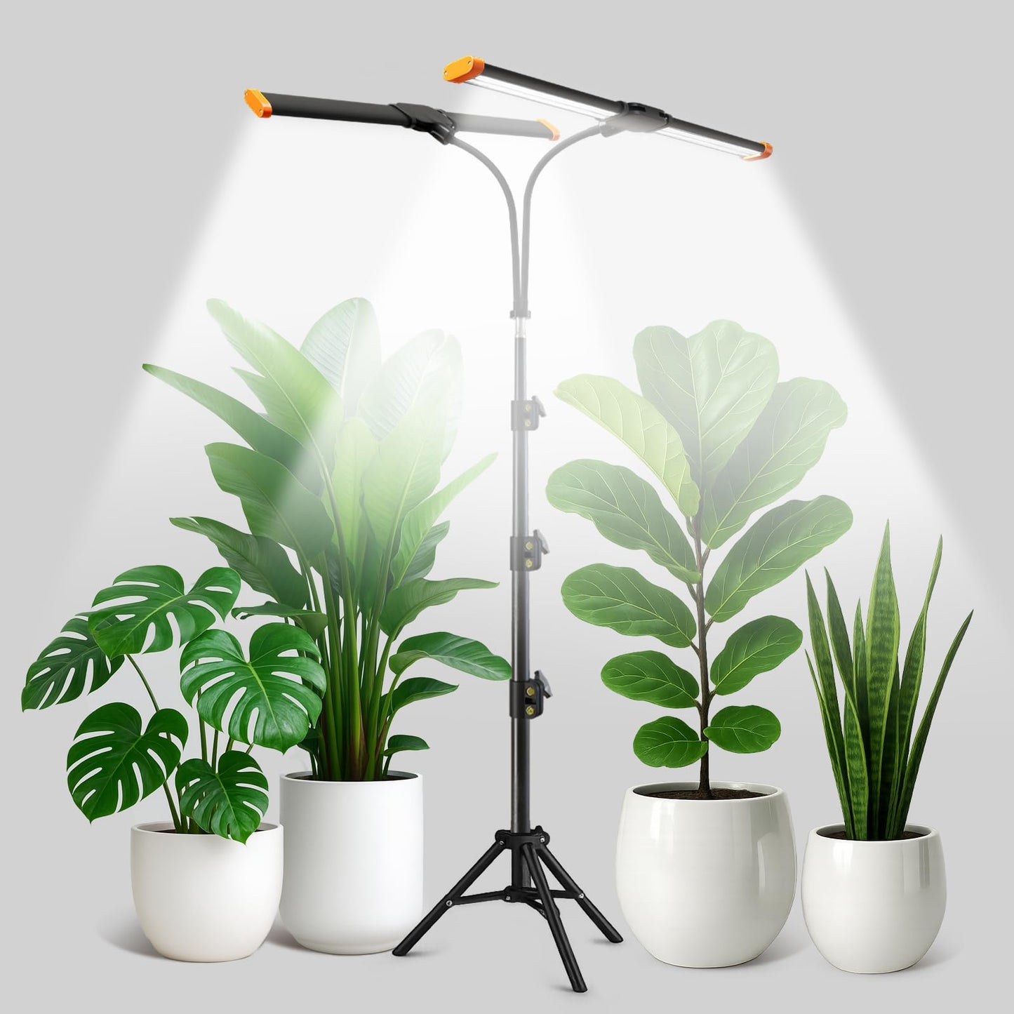 Plant Grow Light with Stand,Super Bright 6000K White Full Spectrum Floor Growing Lamp with Rotatable Dual Light Head & Height Adjustable 17-62" for Indoor Tall Plants, Dimmable & Auto Timer 4/8/12H
