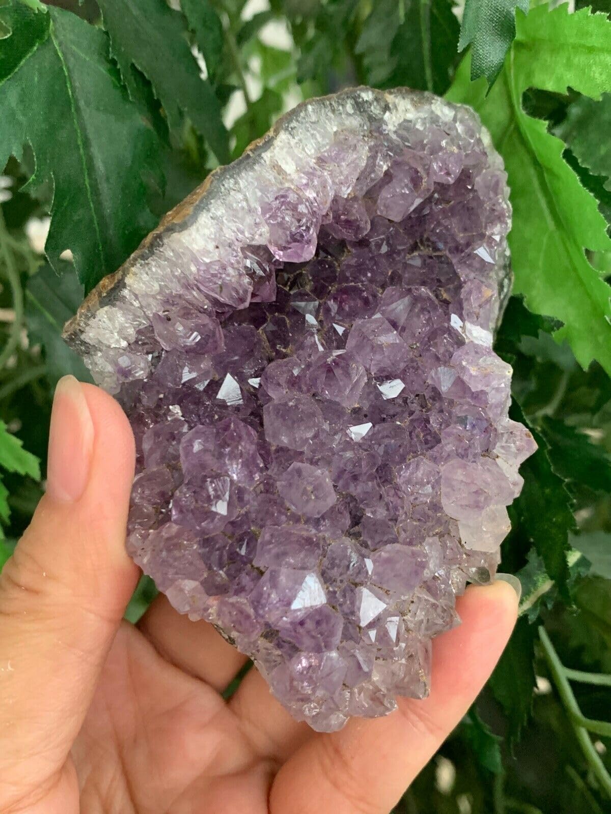 GAF TREASURES XL Raw Amethyst Cluster, 3-4" Natural Rough Amethyst Cluster, Amethyst Cluster Rough, Amethyst Cluster Healing Rough Crystal (Amethyst Cluster, 0.5-1 lb)