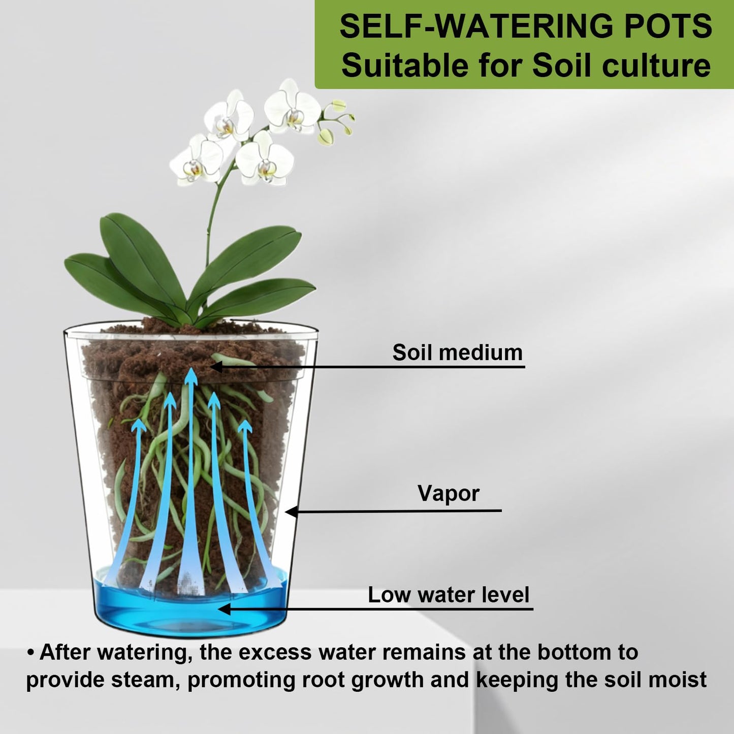 TineDew 4 Pack of 7in and 5in Double-Layer Self-Watering Pot with Clear Nursery Pot - Indoor Planter with Drainage for Root Visibility,semi Hydro pots for repotting Orchids,Aroid or Monstera,White