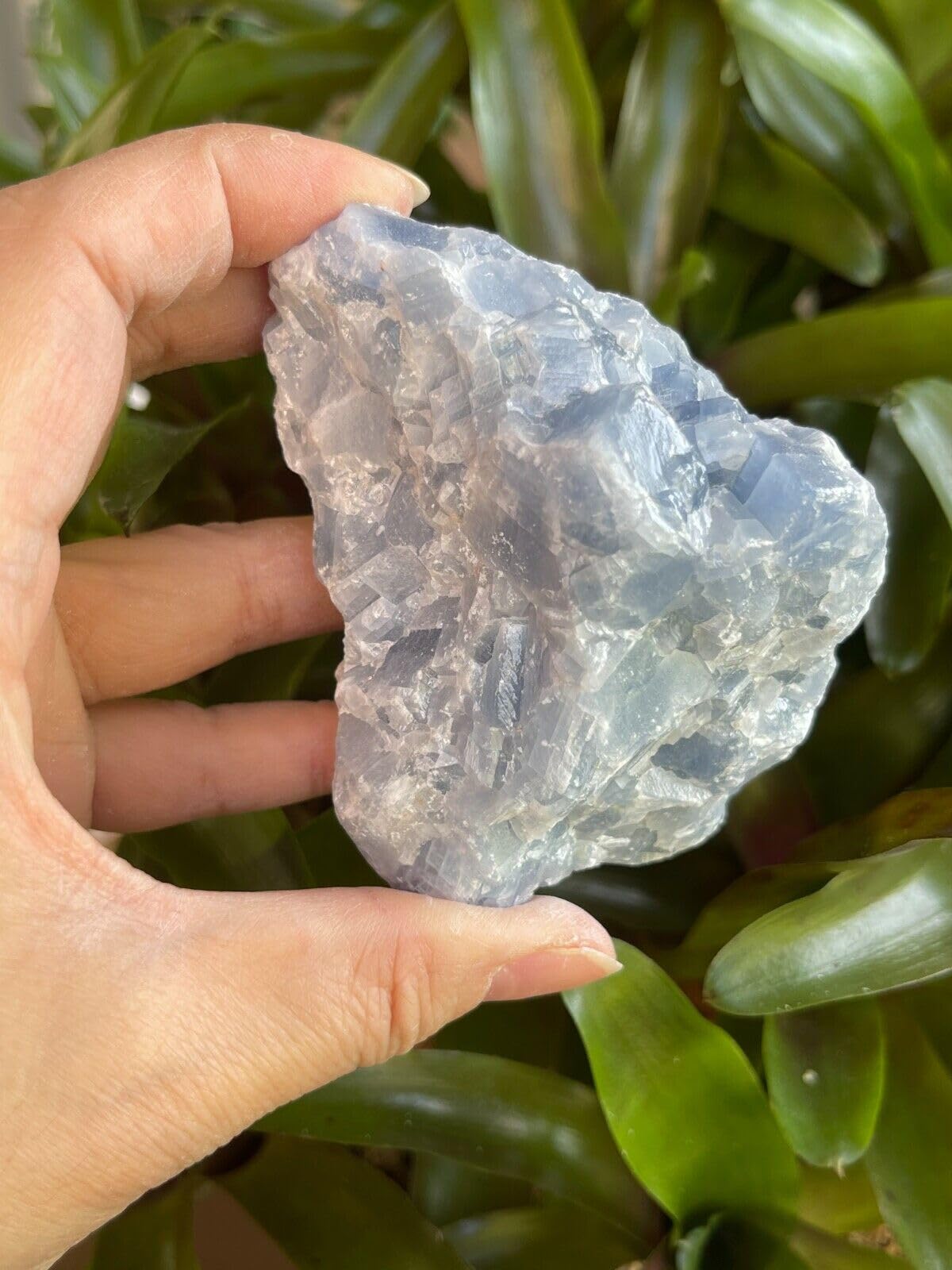 GAF TREASURES XL Blue Calcite Raw Stone, 3-4" Natural Calcite Healing Crystal (Blue Calcite, 0.5-1 lb)
