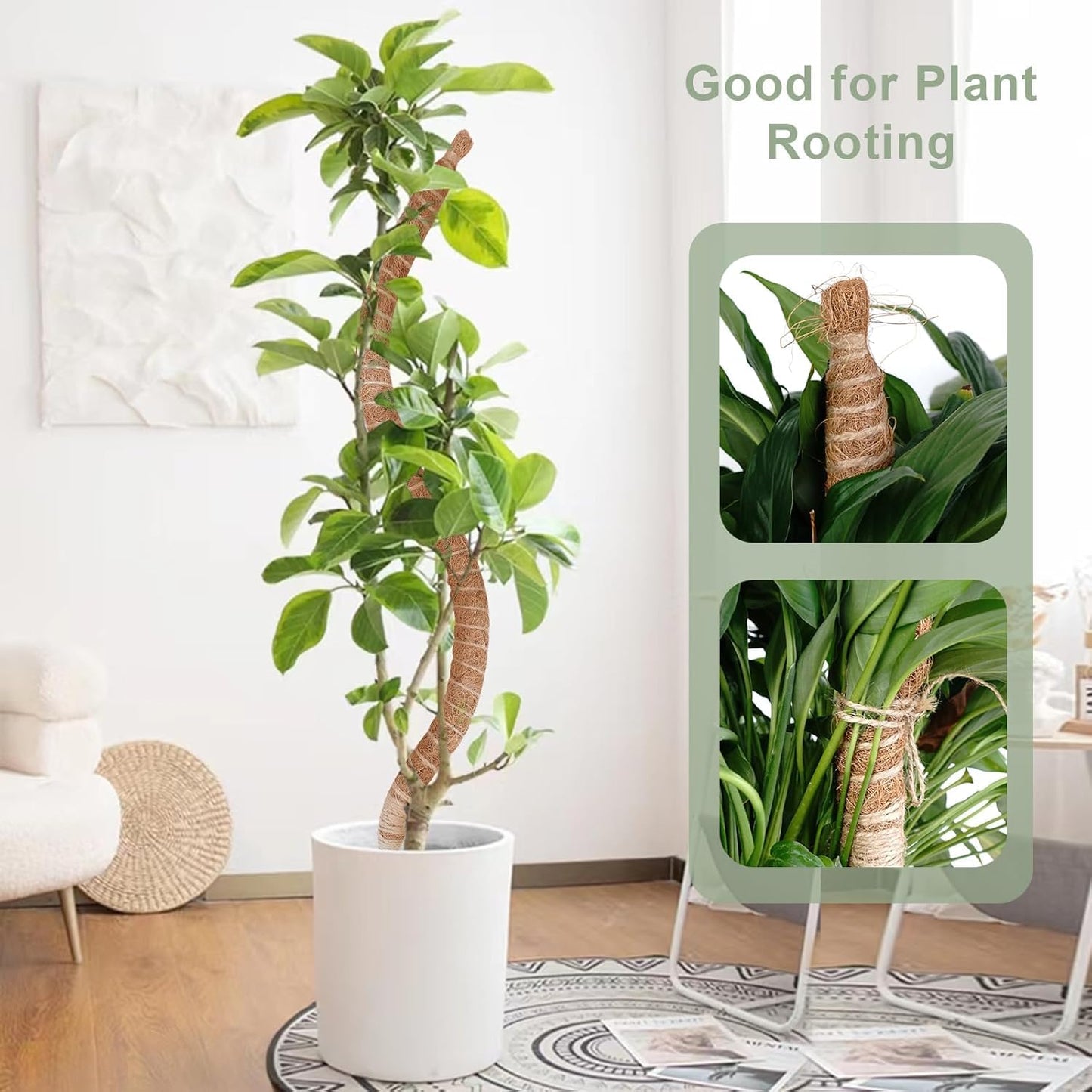 2 Pack 48 Inch Moss Pole, Bendable Moss Pole for Plants Monstera, Tall Moss Poles for Climbing Plants Indoor, Large Support, Garden Trellis Stick Stakes for Plant
