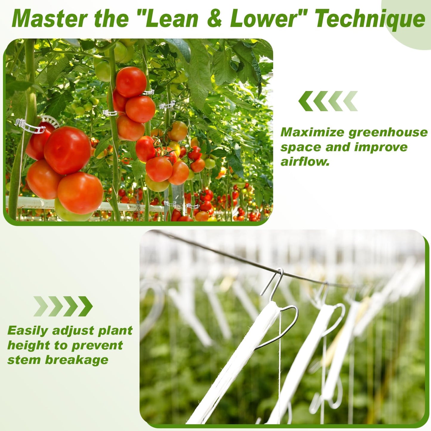 Hushee 100 Pack Tomato Hooks with 200 Garden Clips & 32.8ft String, Tomato Hooks for Climbing Plants, Heavy Duty Plant Support Kit for Greenhouse, Vegetable Plant Fruit Flower
