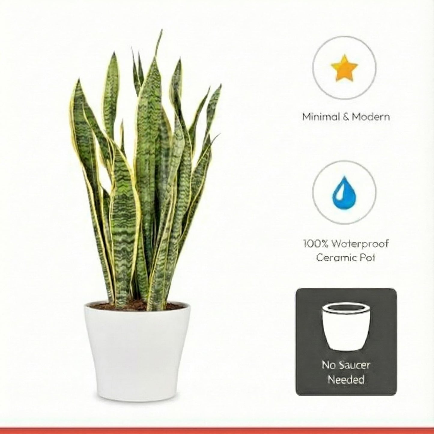 Scheurich Set of 2 Classic Panna Ceramic Plant Pots – 7.5" Decorative Pots for Indoor Plants - Waterproof&UV-Resistant Planters - Durable, Break-Resistant Design - Made in Germany - 0.8 gal
