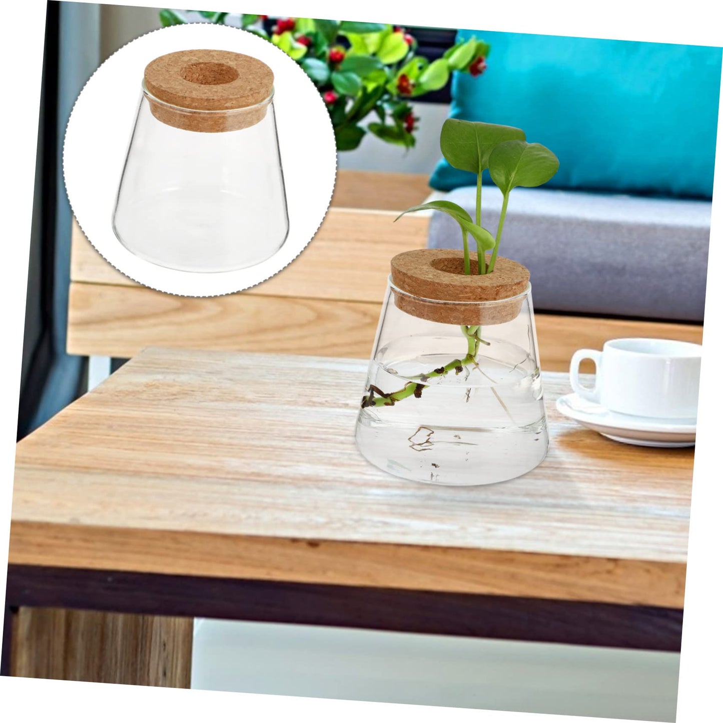 Garneck 2Pcs Hydroponic Plant Vases Clear Glass Terrarium Garden Decoration for Home Office Floral Arrangement and Nature Lovers Gift