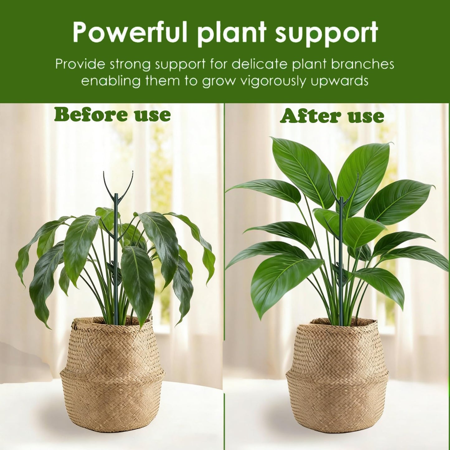 Stackable Monstera Moss Pole - 10 PCS Coir Plant Support Stakes for Indoor Plants, Bendable Totem Pole for Climbing Vines, Money Plant | Durable Indoor Plant Stakes (10 Pack)