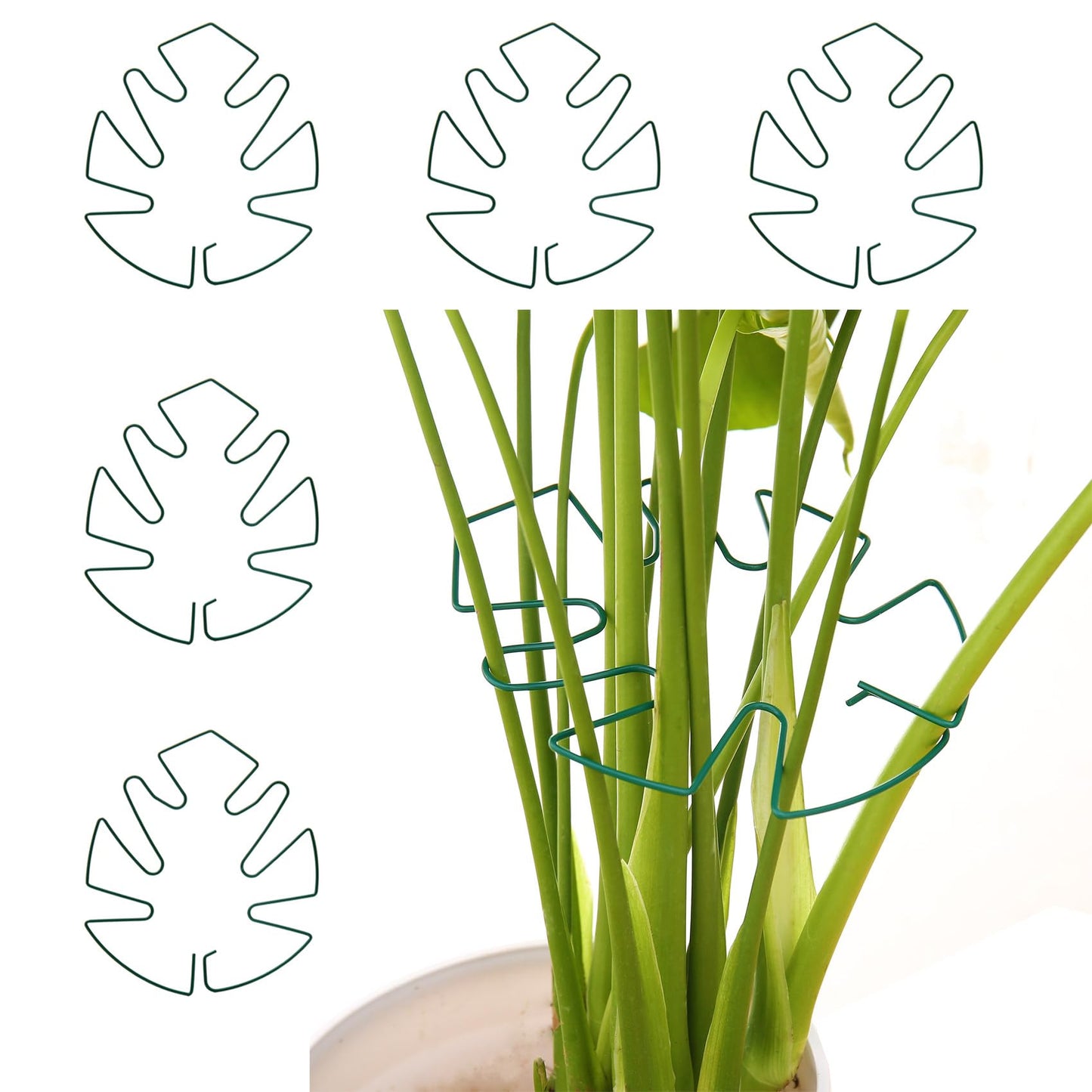 Spiritlele 5 Pcs Green Plant Stem Support Holder Set Monstera Plant Support Clamp Growth Accessories for Indoor Plants Small