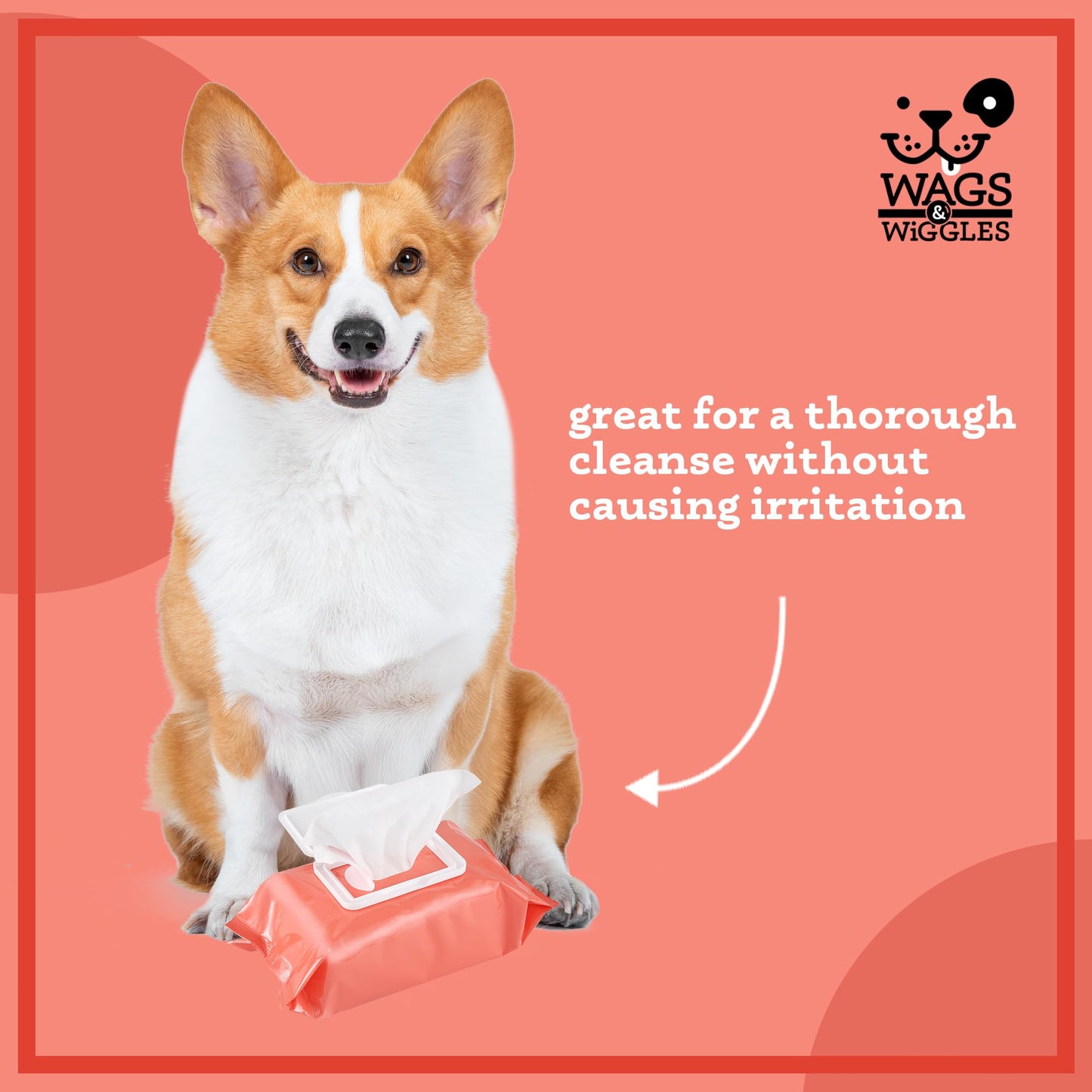 Wags & Wiggles Purify Hypoallergenic Dog Wipes for Sensitive Skin, Paw and Body Grooming Wipes with Gentle Plant Based Formula for Everyday Cleaning, Zesty Grapefruit Scent, 100 Count