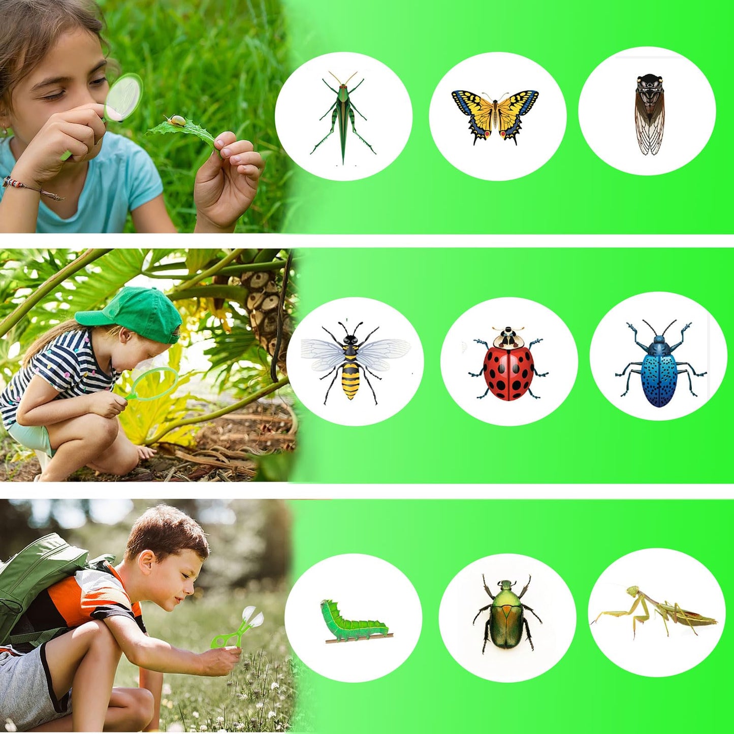 GIFTRRTOY Bug Catcher for Kids - Outdoor Insect Catching Kit with Butterfly Net, Bug Box, and Storage Bag - Non-Toxic Educational Toys for Nature Exploration, for Boys & Girls Ages 3-12