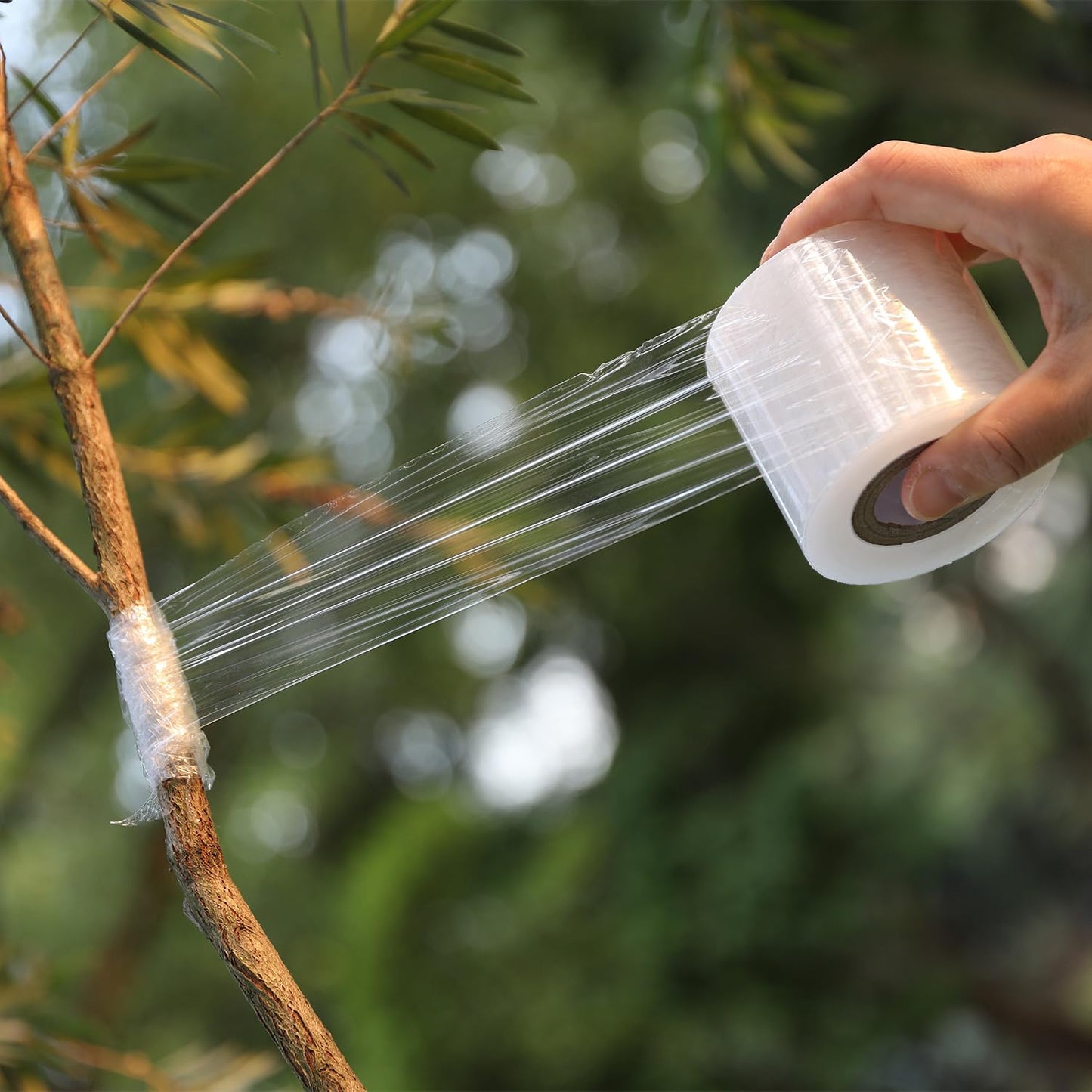 【2-Pack】Grafting Tape for Plants & Trees - Professional Strength Stretchable Clear Film for Wound Healing, Fruit Tree Repair, Bonsai & Rose Gardening | Eco-Friendly Self-Adhesive Bandage (2.3" x 32FT)