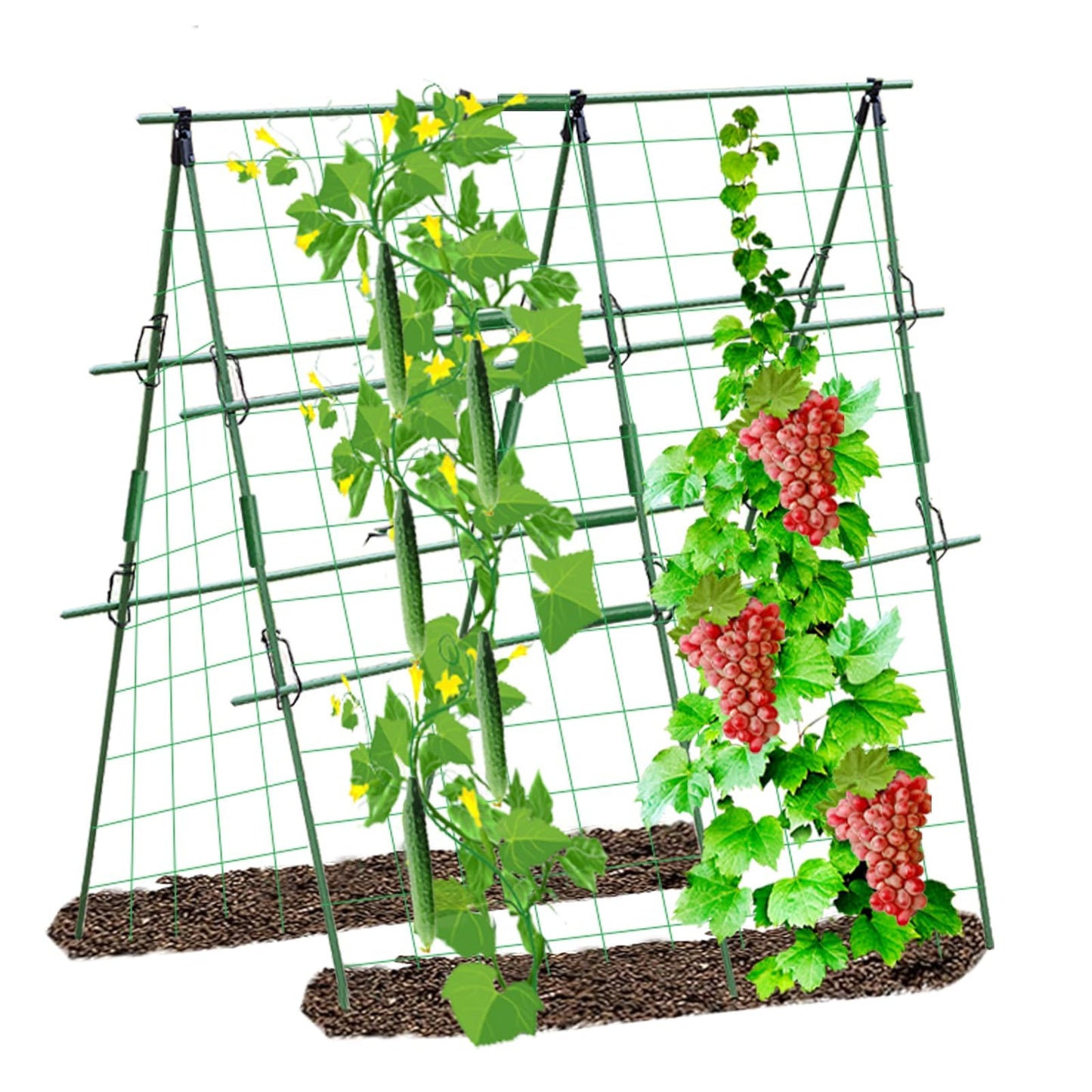 Foldable Cucumber Trellis for Garden - Adjustable Climbing Support for Vegetables, Vining Plants, Cucumbers, Tomatoes, and Peas - Heavy Duty, Weather-Resistant, Easy to Install
