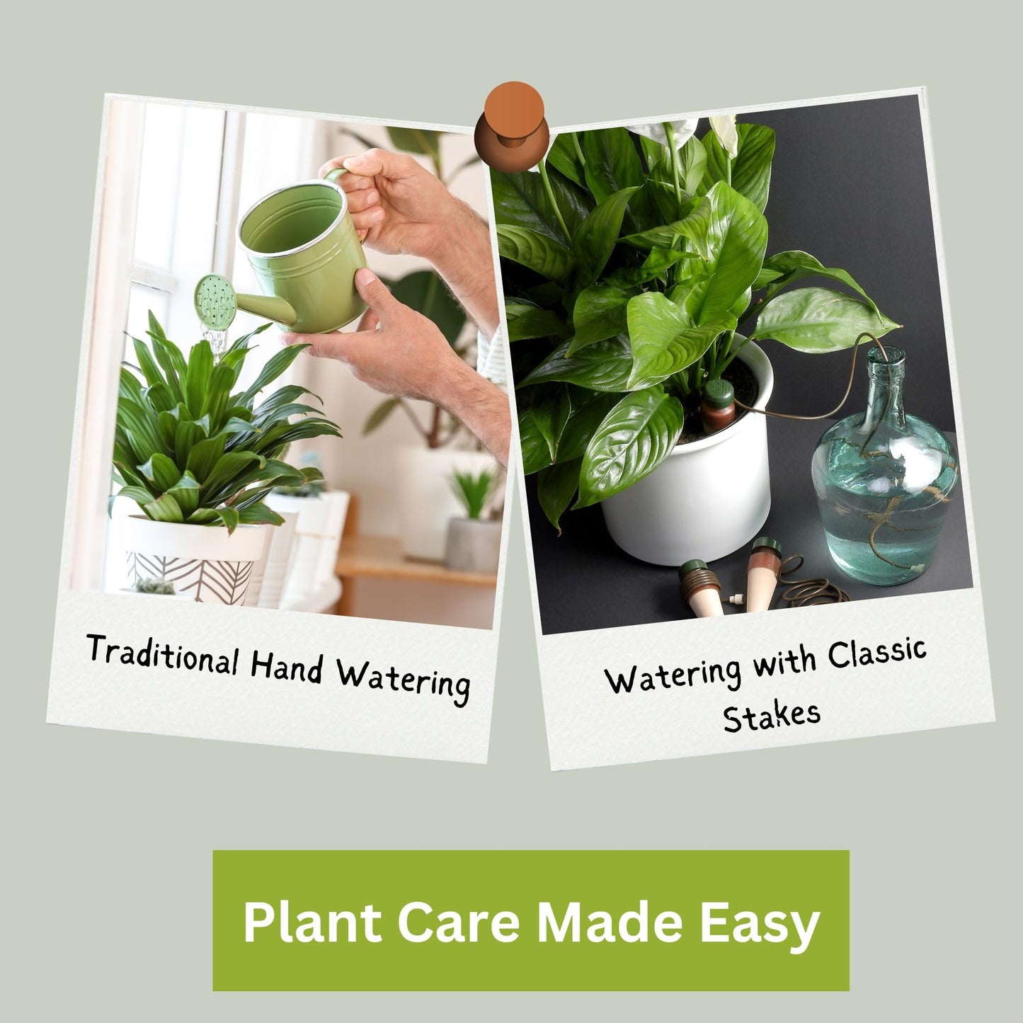 Blumat Classic Self-Watering Stakes - Prevents Overwatering and Underwatering for Healthy Growth While You are Away - Ideal for Indoor Plant Watering, 12 Pack, wo Adapter