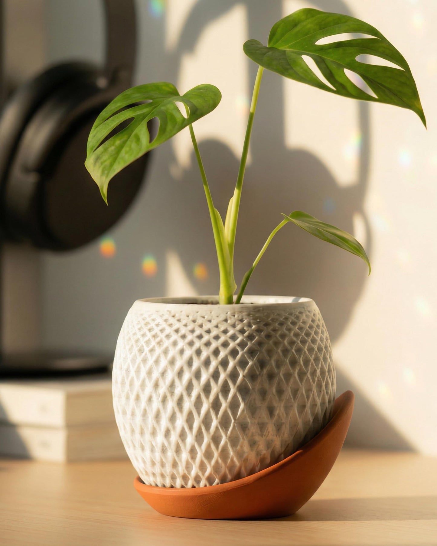 CODIAO Small Plant Pots Indoor with Drainage & Saucer (4 Inch) - Cute 3D Printed Geometric Planter - Modern White Pot for Succulents Cactus - Unique Desk Decor & Gardening Gift (Terra Cotta Base)