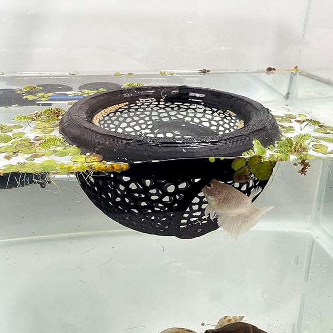 Aquarium Floating Betta Fish Skins, Betta or Shrimp Feeder, Cave and Hammock, Small Fish Feeding Rings, Aquarium Hiding Feeding Decorative Accessories (Cyan)