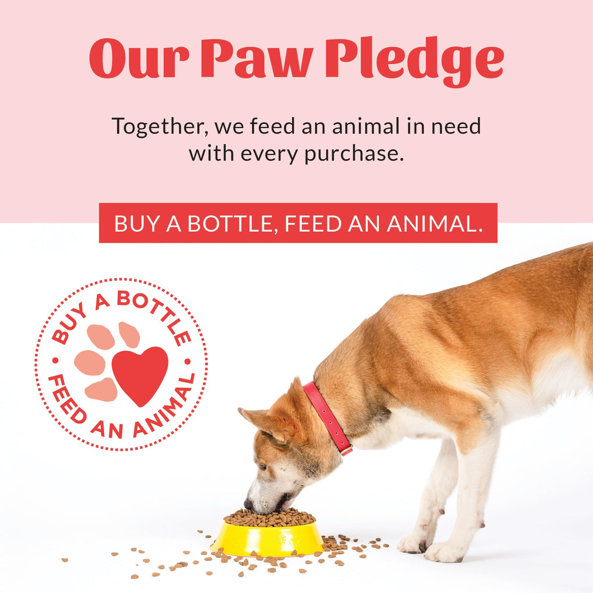 Pet Grooming Wipes for Dogs and Cats