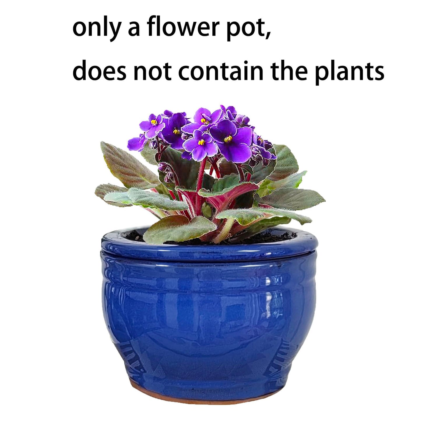 Dphagesy African Violet Pots Self Watering Round Ceramic Violet Pot (Blue, 6 inch)