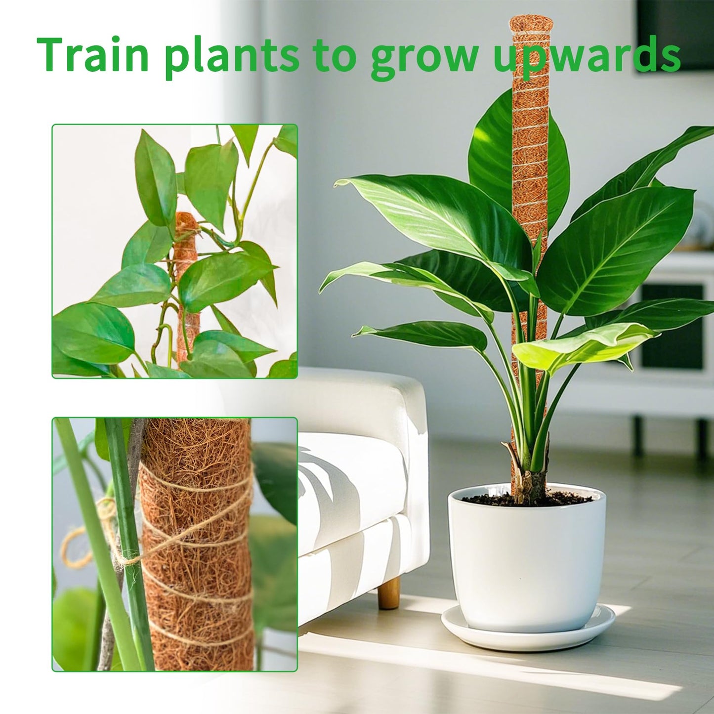 Dimpoo 2 Pack 60 Inch Moss Pole Monstera Plant Support, Coir Moss Poles for Climbing Indoor Plants, Bendable Plant Stake Trellis for Potted Plant, Pothos, Philodendron