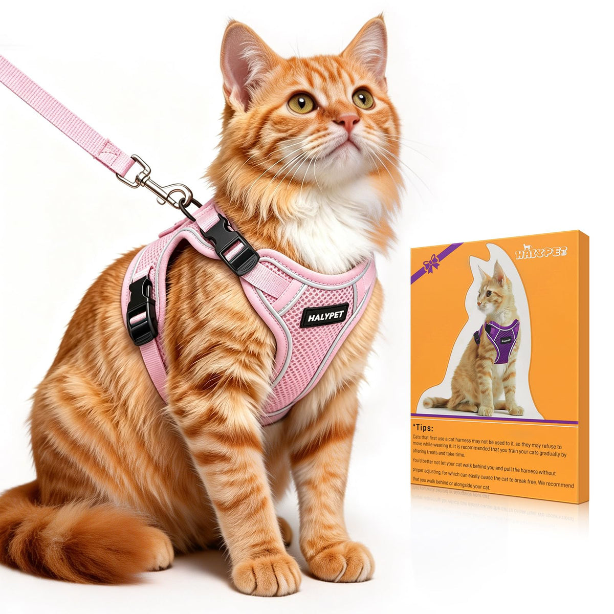 Cat Harness and Leash Set,Escape Proof Kitten Harness,Orange