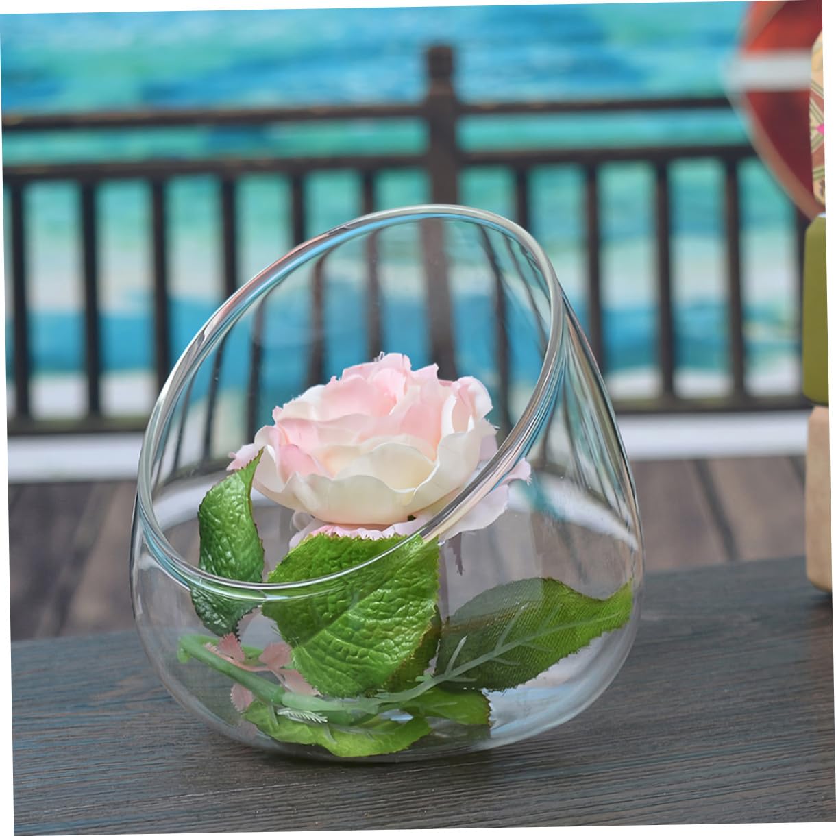 VINTORKY 3pcs Glass Terrarium Plant Display Bottle Succulent Vase for Home Decor Creative Eco-Friendly Micro Landscape Container for Plants and Decorative Accents