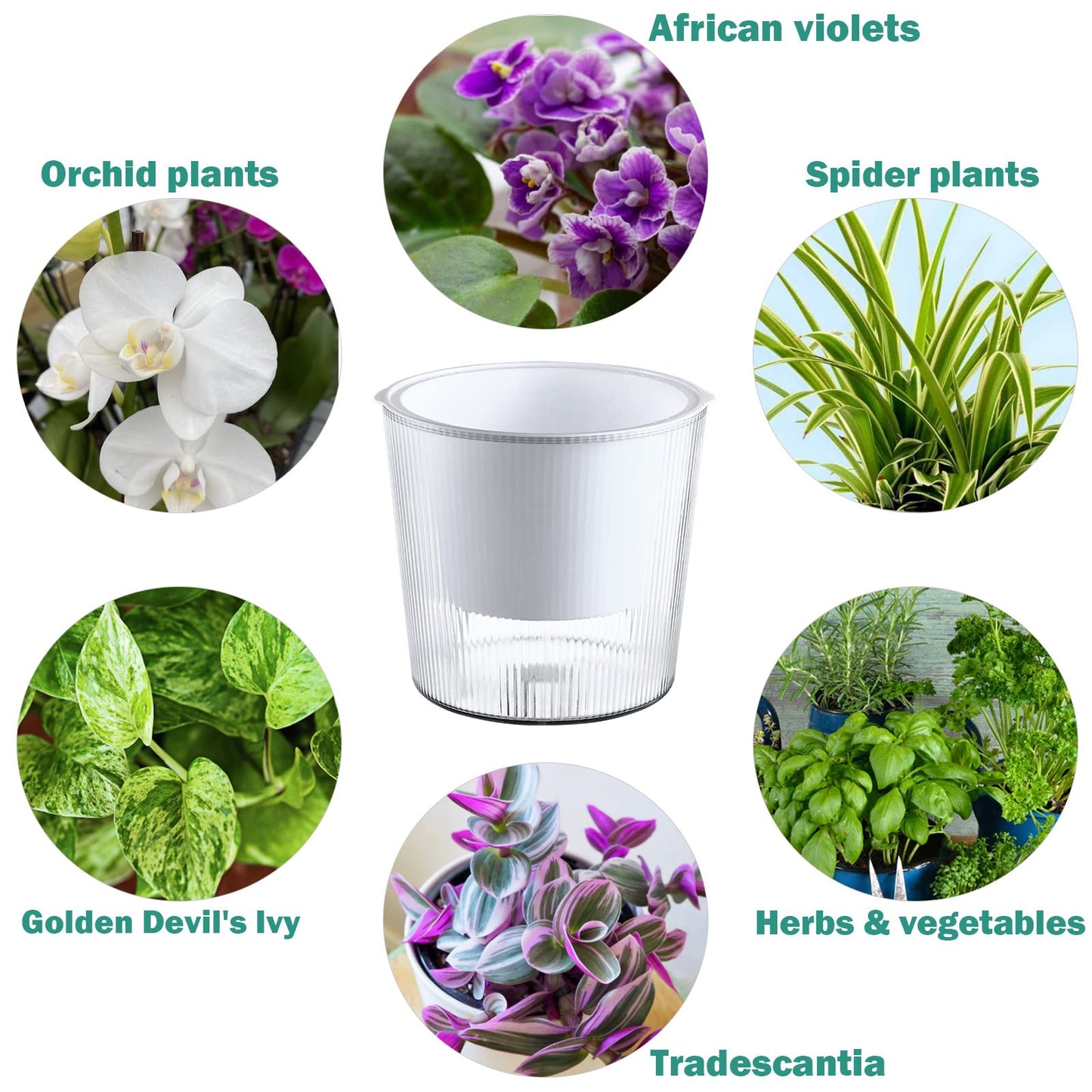 10-Pack 4.5 Inches Clear Self-Watering Pots for Indoor Plants Small Orchid Flower Pot Plastic Wick Planters for African Violet, Home Decor Pot
